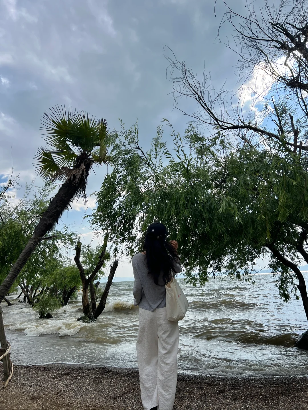 昆明一日游|详细攻略只看这篇!(附爆款机位)