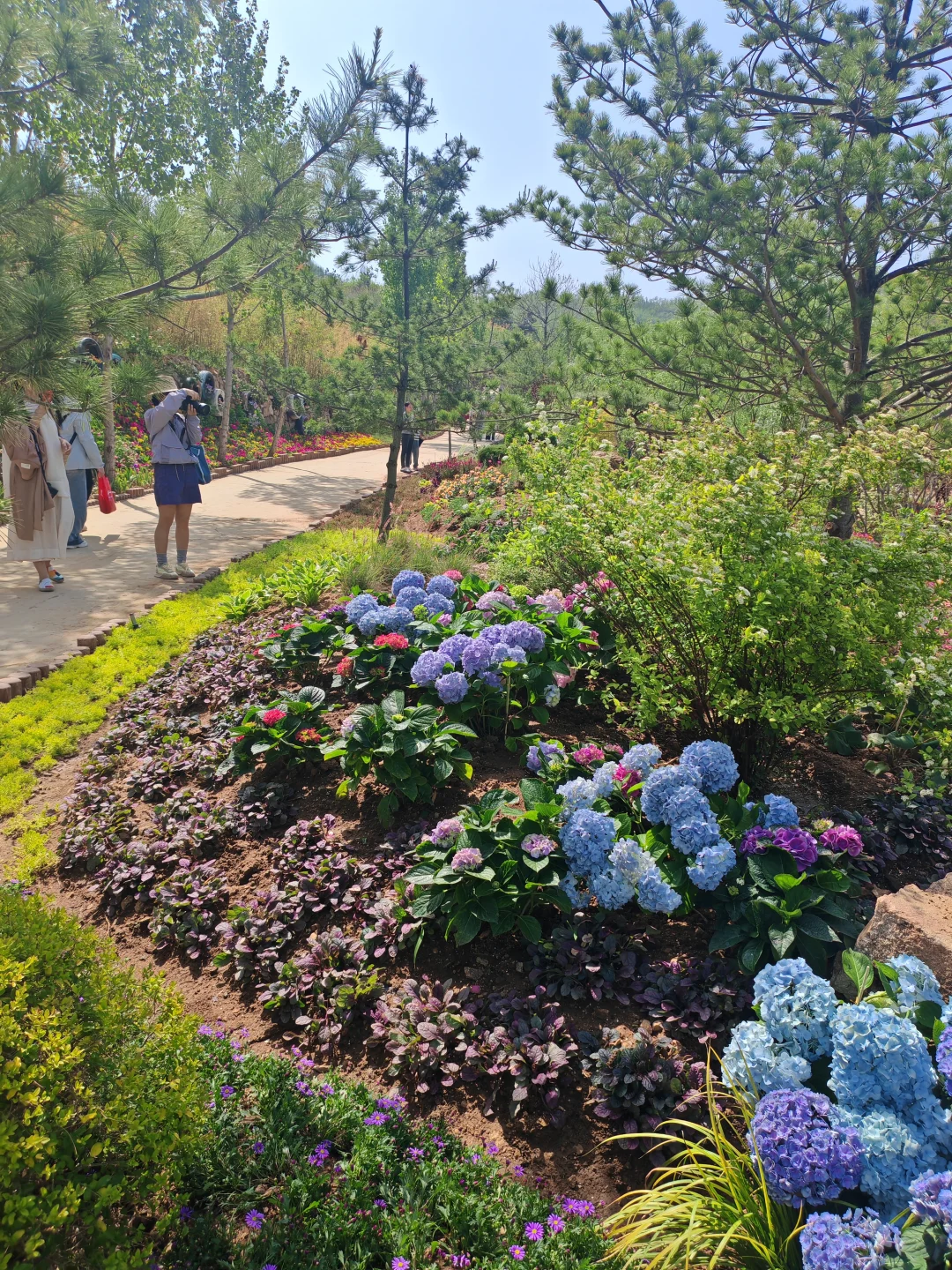 谁还不知道淄博有个三水源 真的亏大了