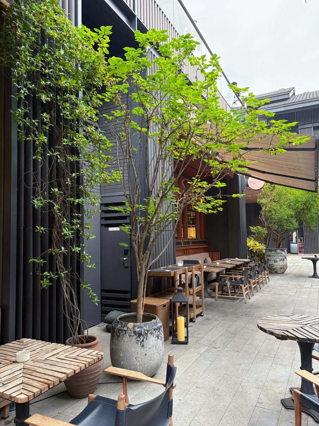 好爱这红墙青瓦 绿意深深 流水潺潺