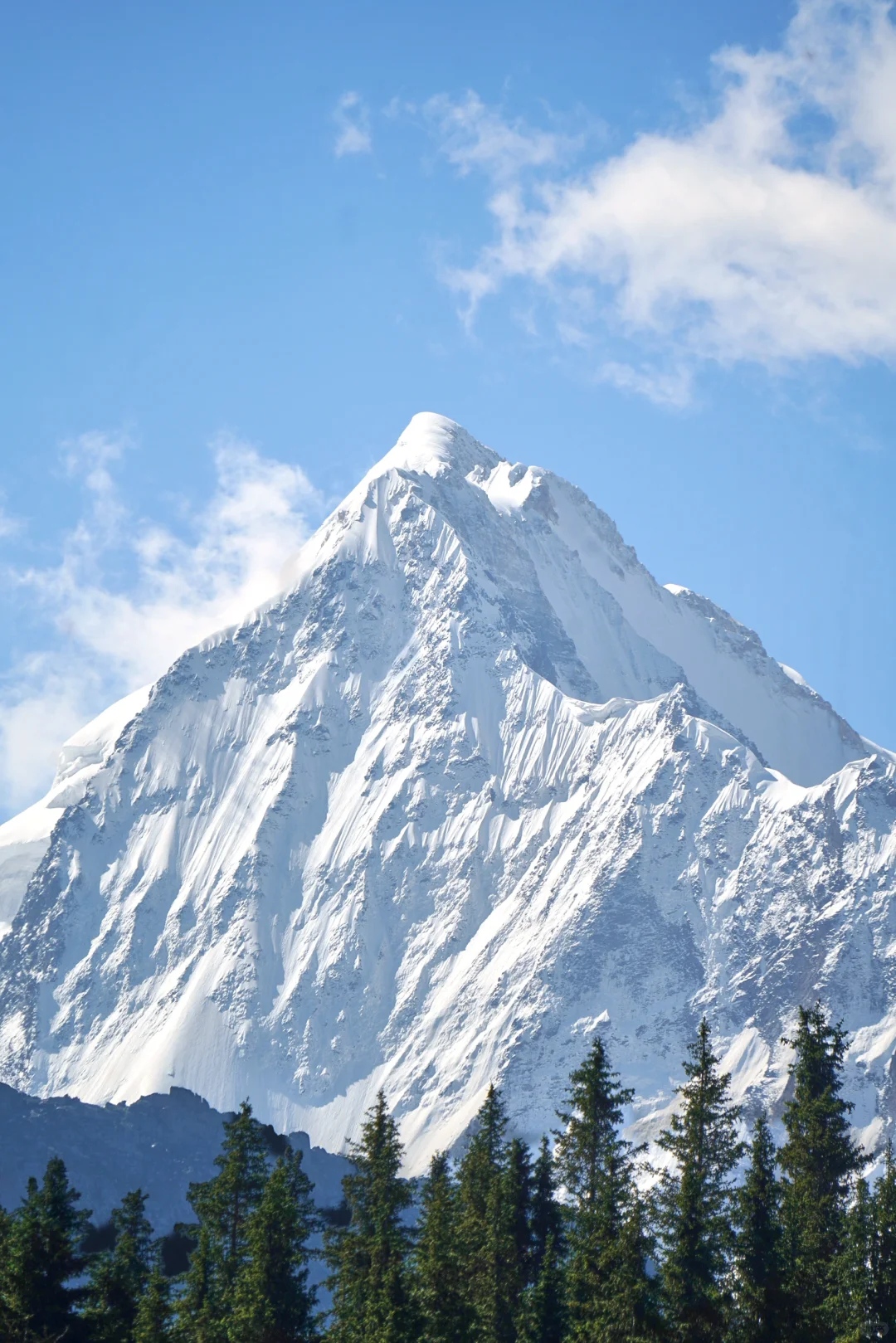 6月的夏塔是拍人生照片的最佳季节