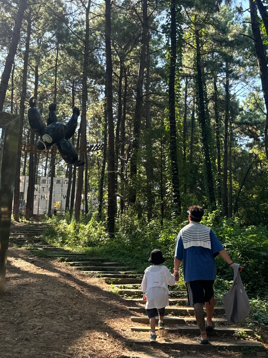 苏州开车2h,来到了魔法世界🦍🐳🦆🦌