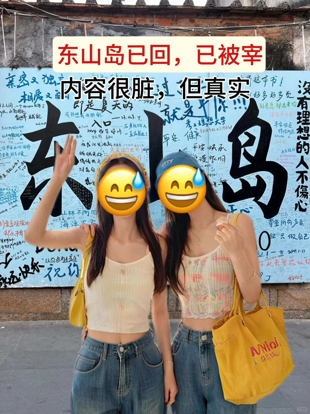 东山岛已回（已被宰）内容很脏，但很真实！！