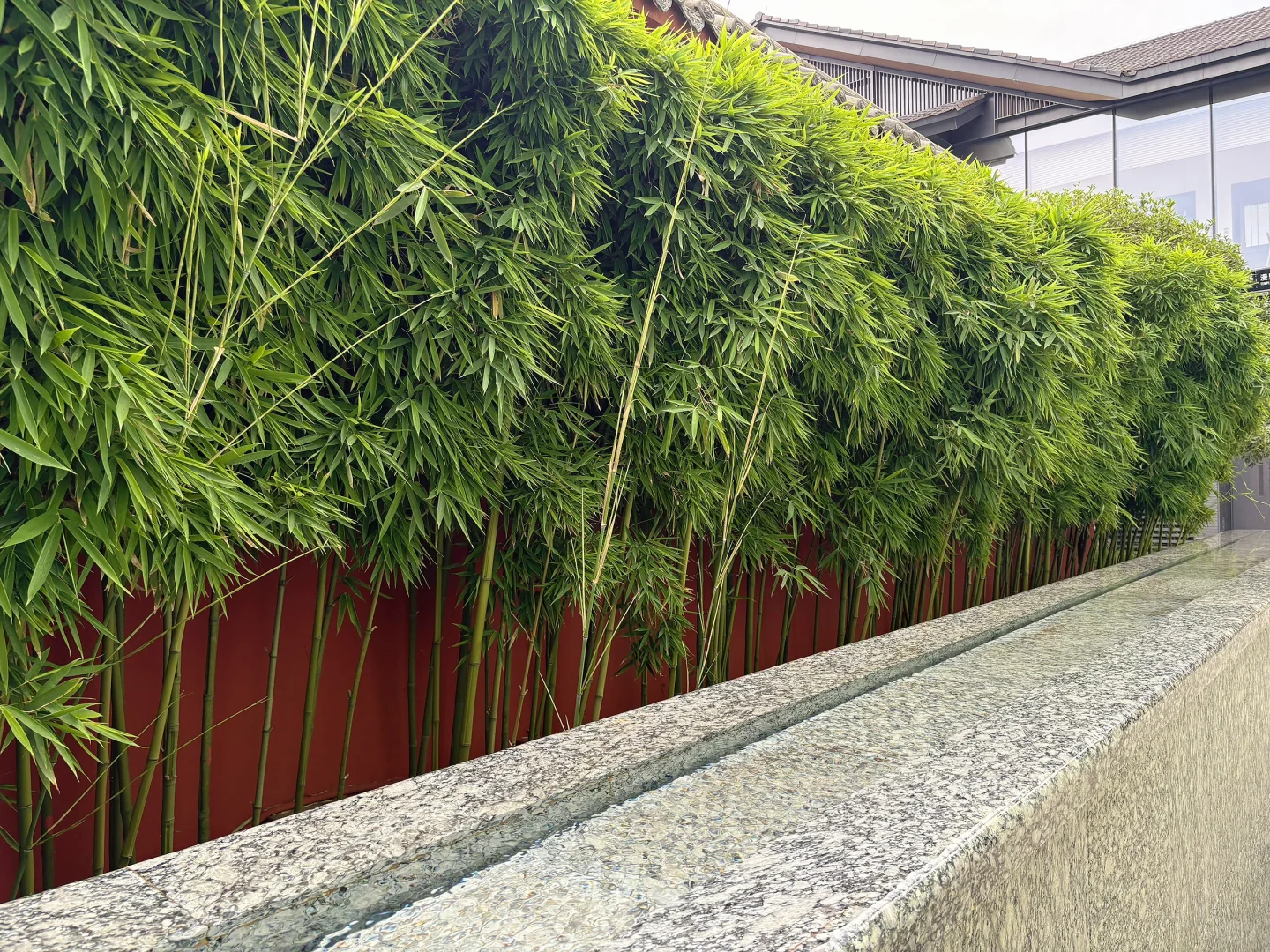 好爱这红墙青瓦 绿意深深 流水潺潺