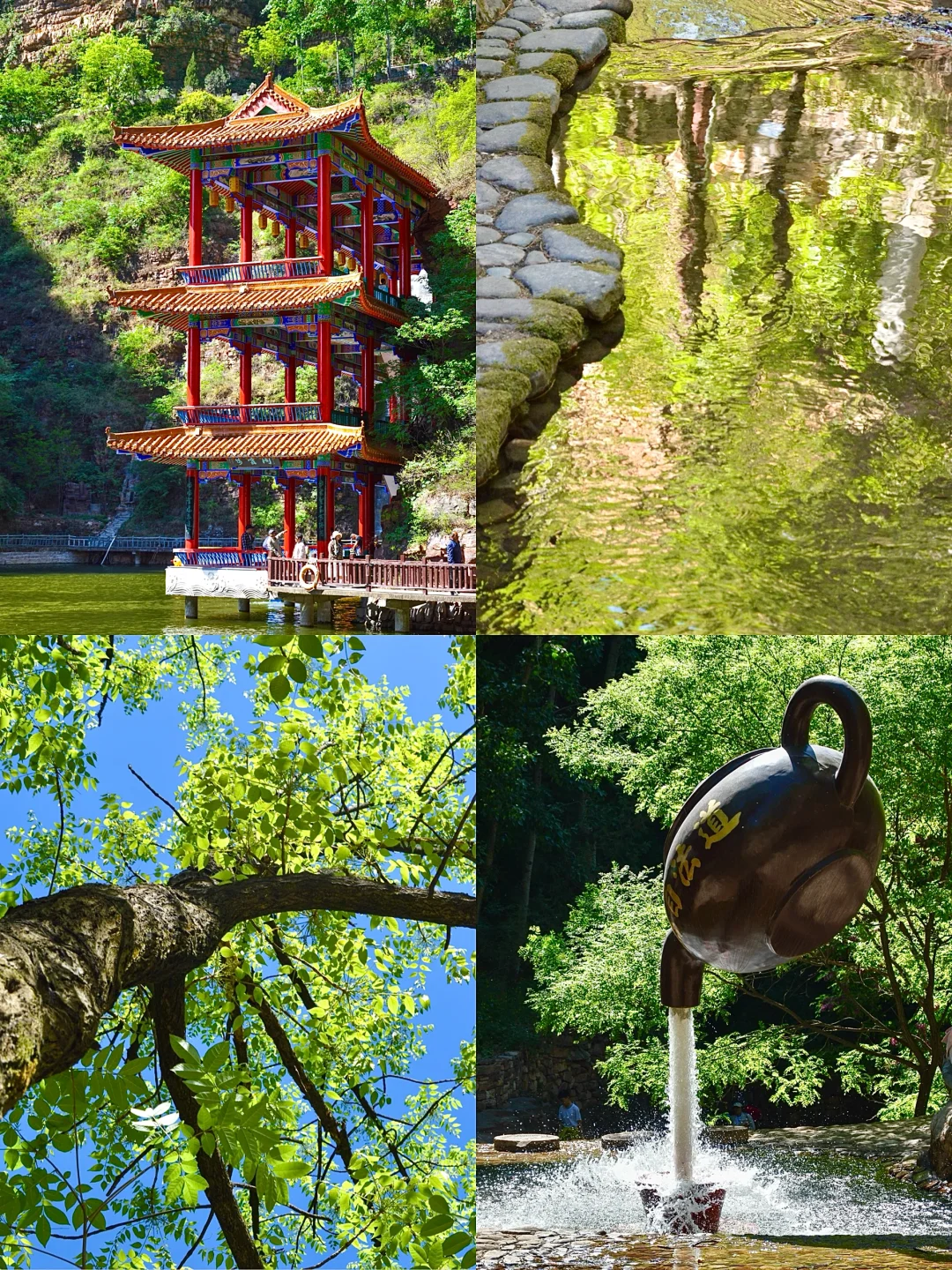 🟢喜欢那一抹流动的绿🍃邯郸七步沟美到失语