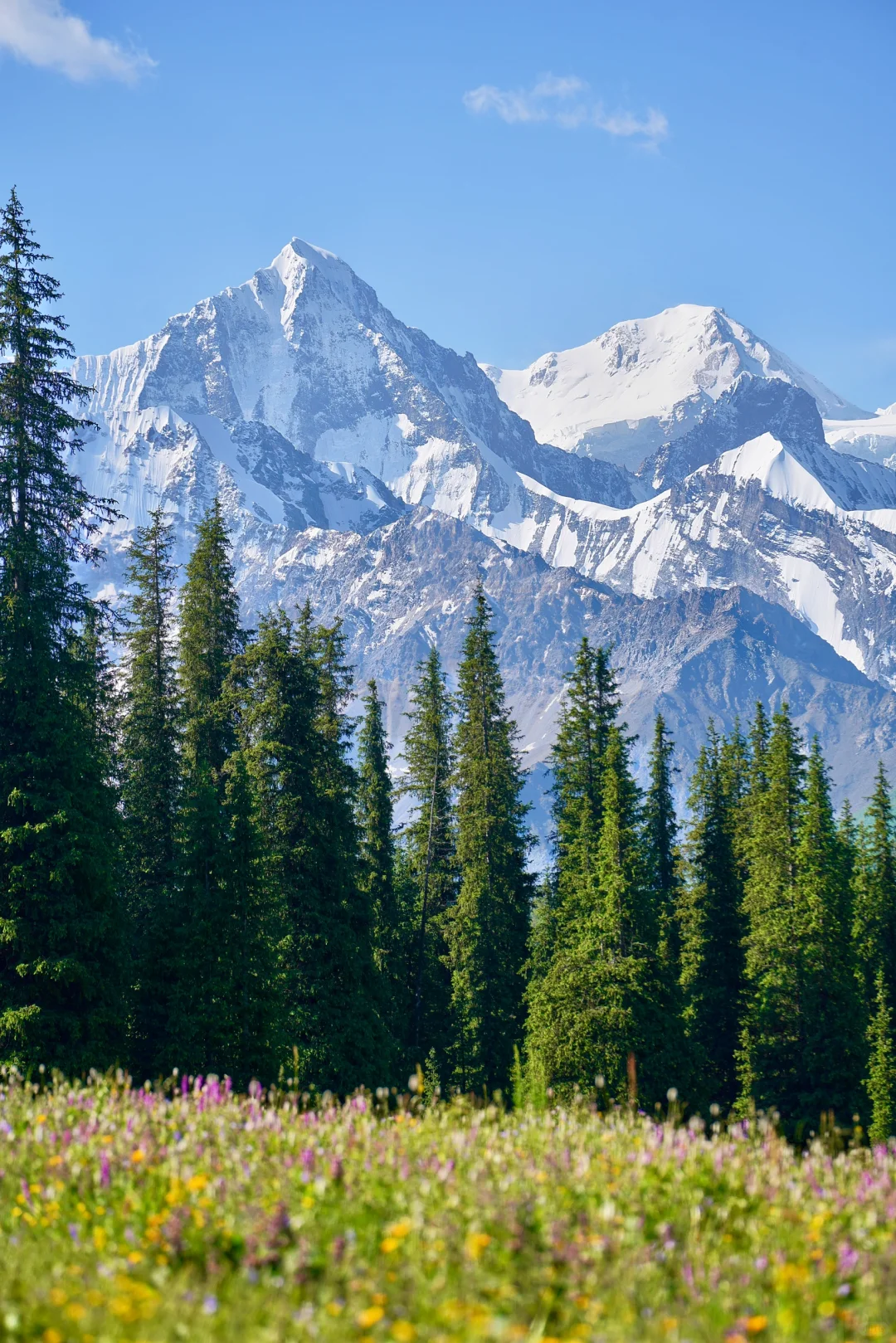 6月的夏塔是拍人生照片的最佳季节