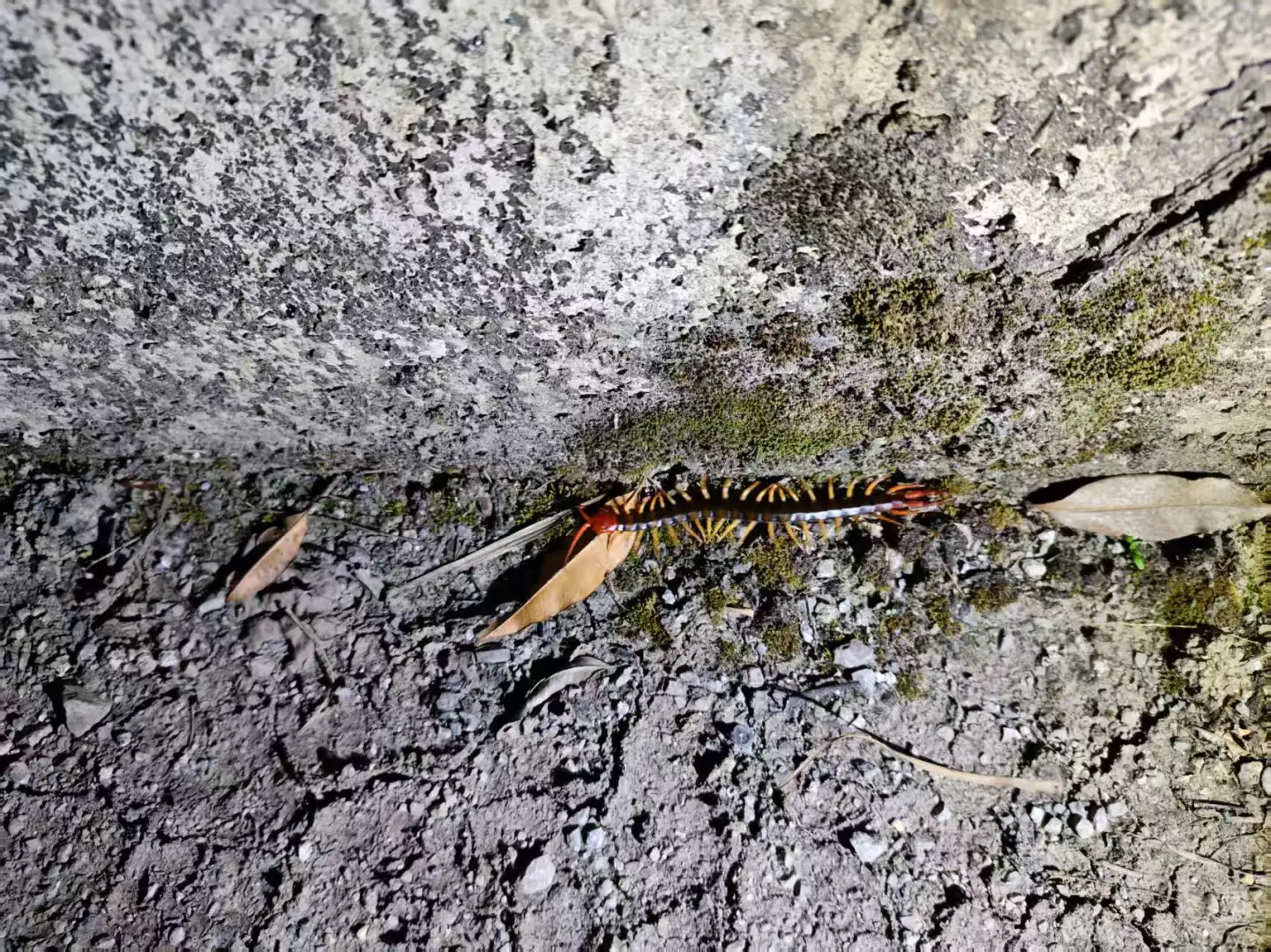 贵州六日游旅行攻略