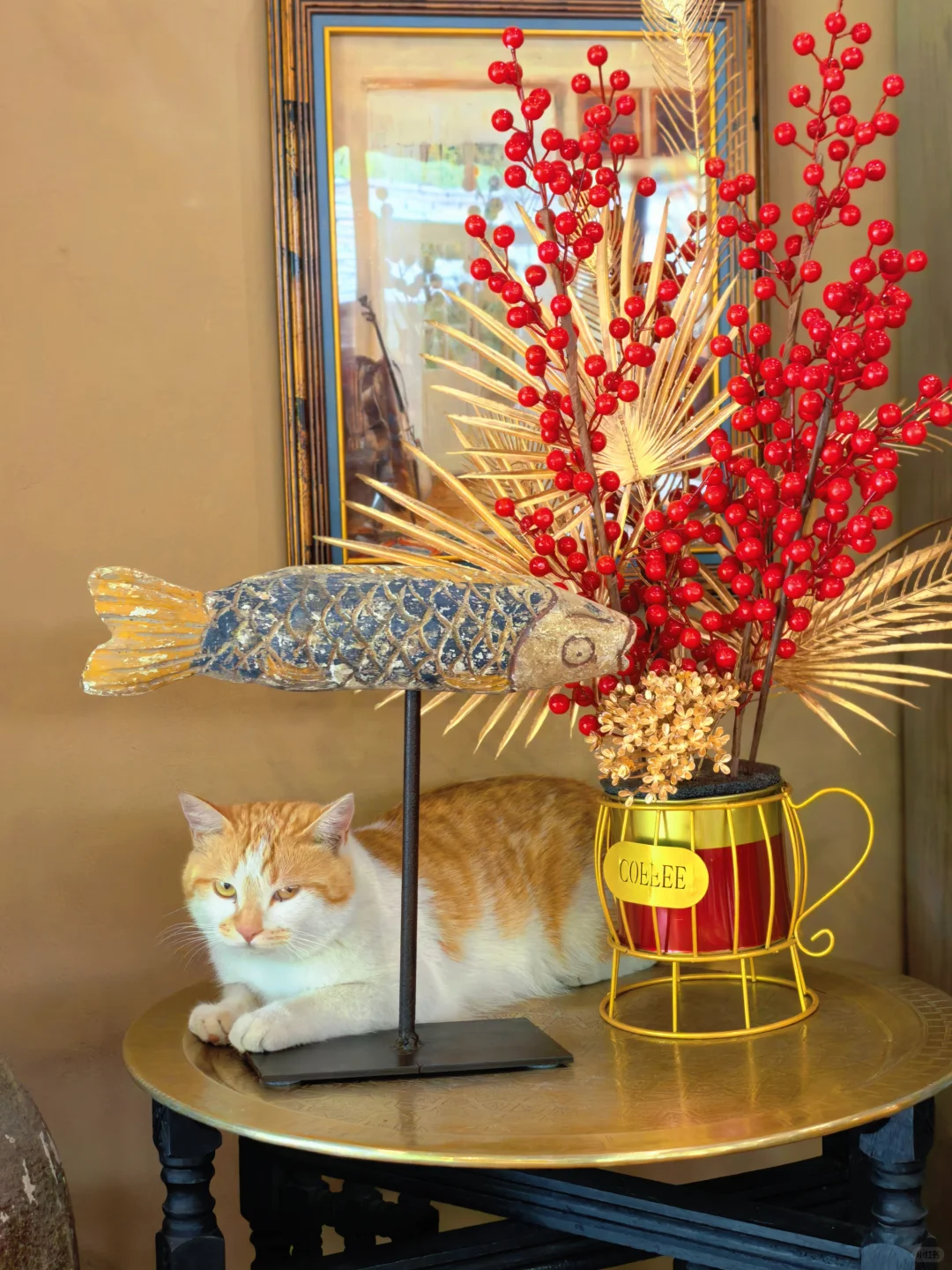 房山惊现猫狗双全的治愈咖啡屋🐈🐩速冲