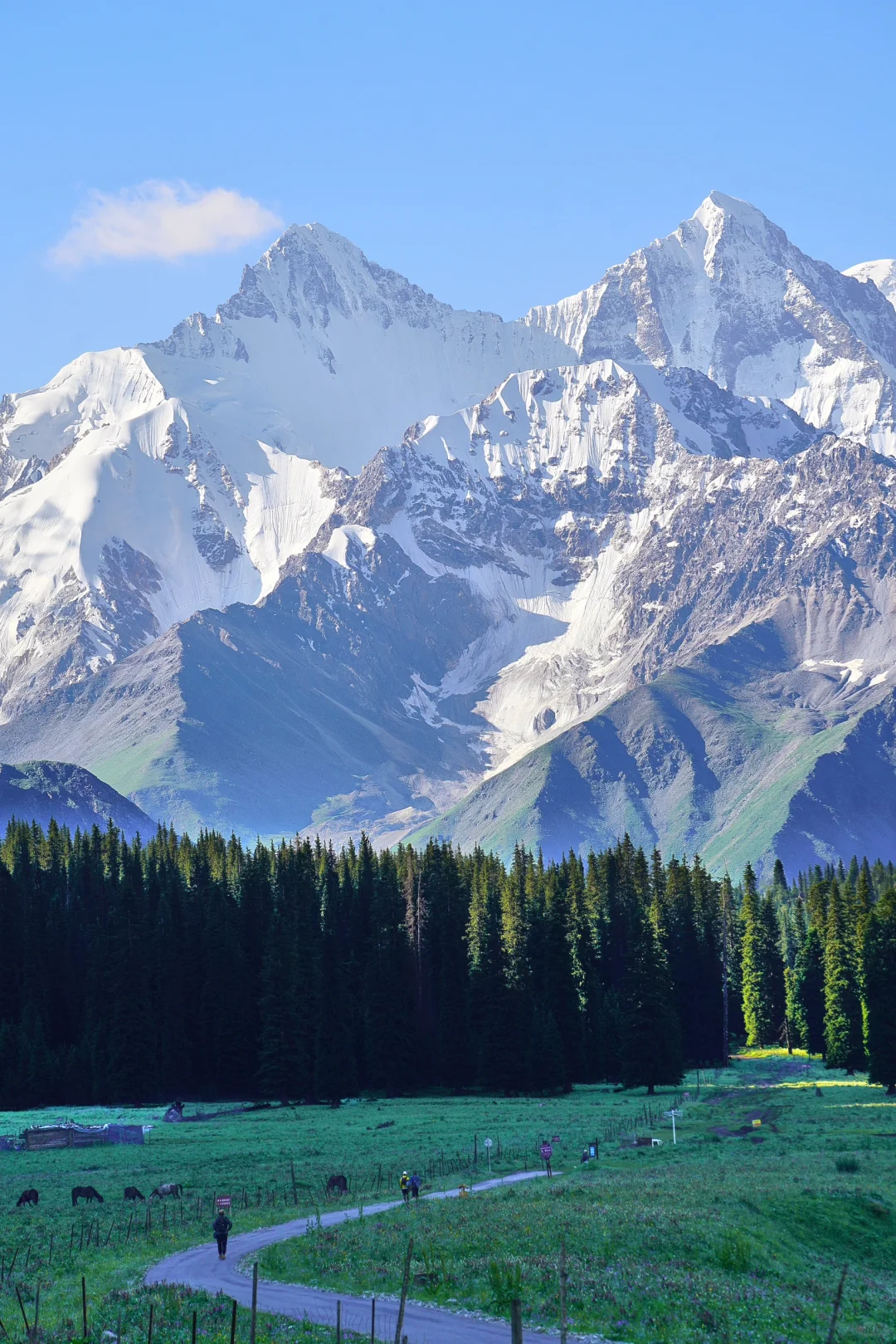 6月的夏塔是拍人生照片的最佳季节