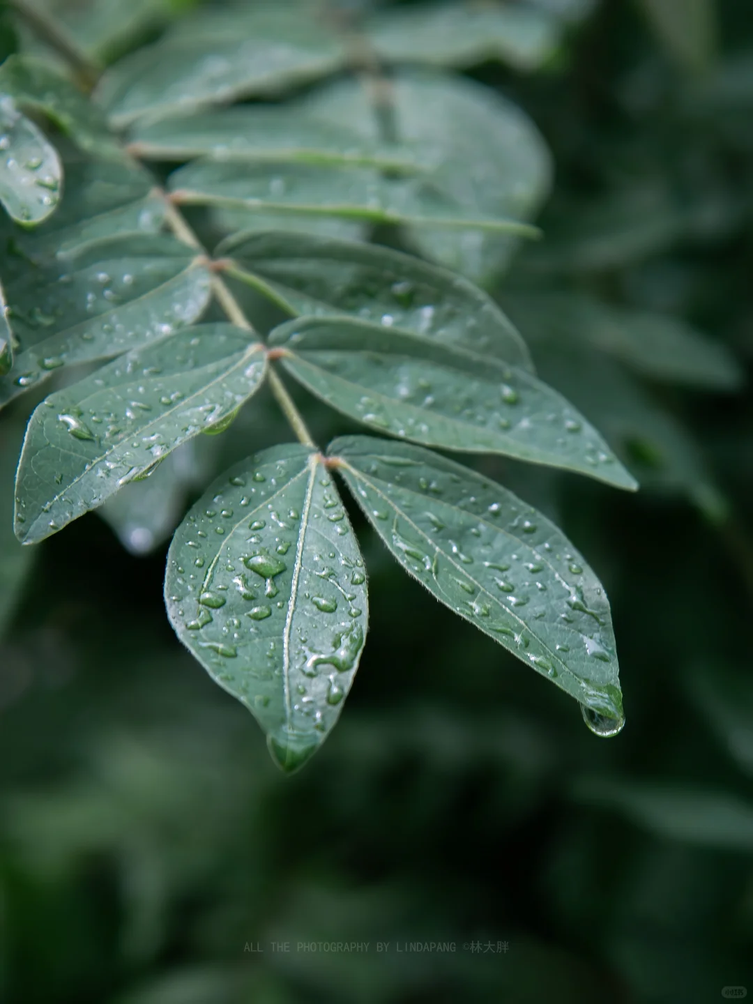推荐一个99.9%的人都不知道的山野徒步秘境