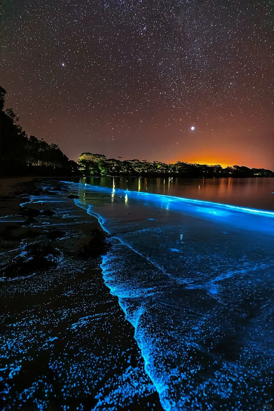 2025年蓝眼泪最全攻略：追寻“海上极光”