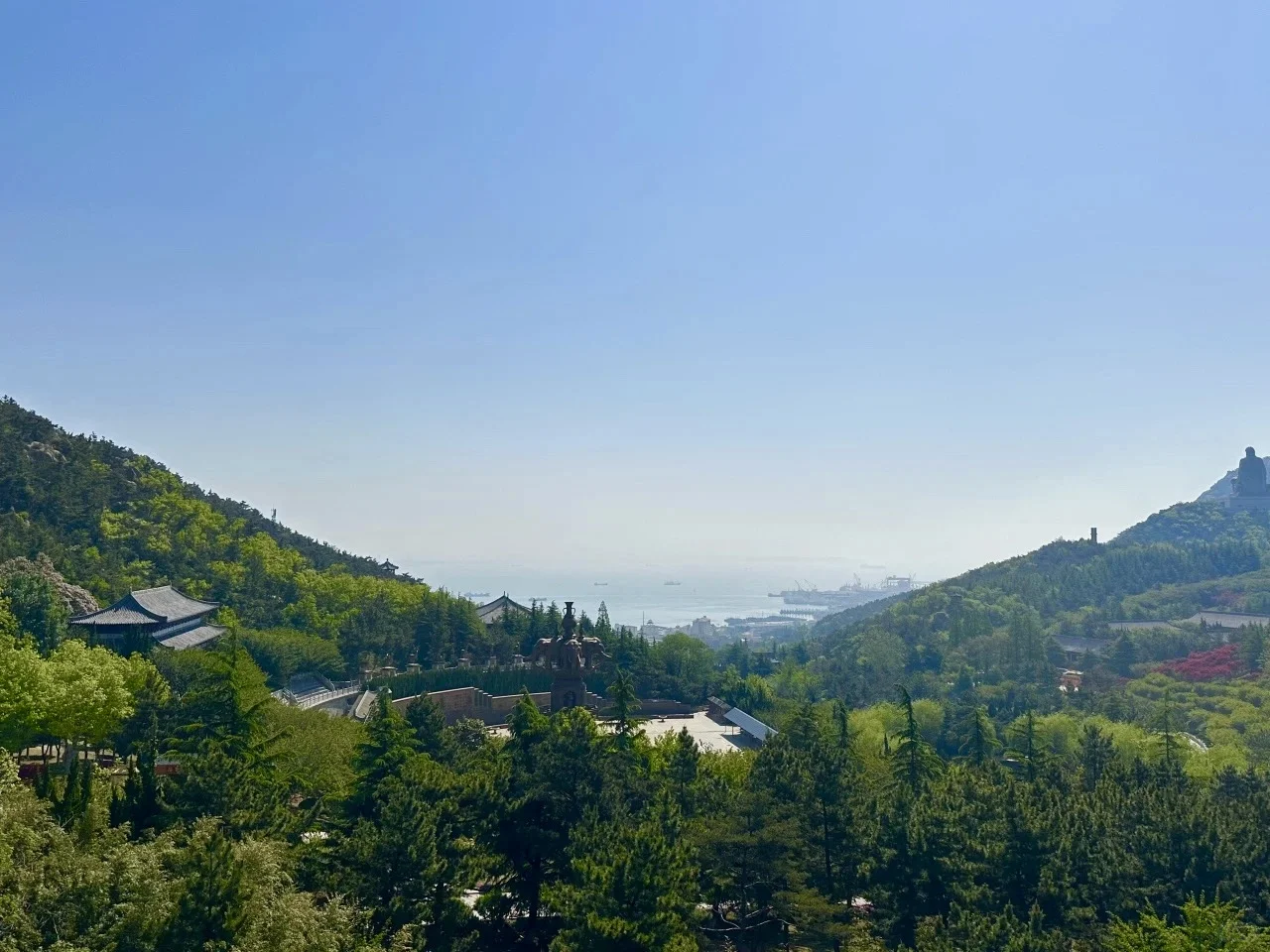 🏮赤山限定福利｜5.19全员景区门票半价❗️❗️