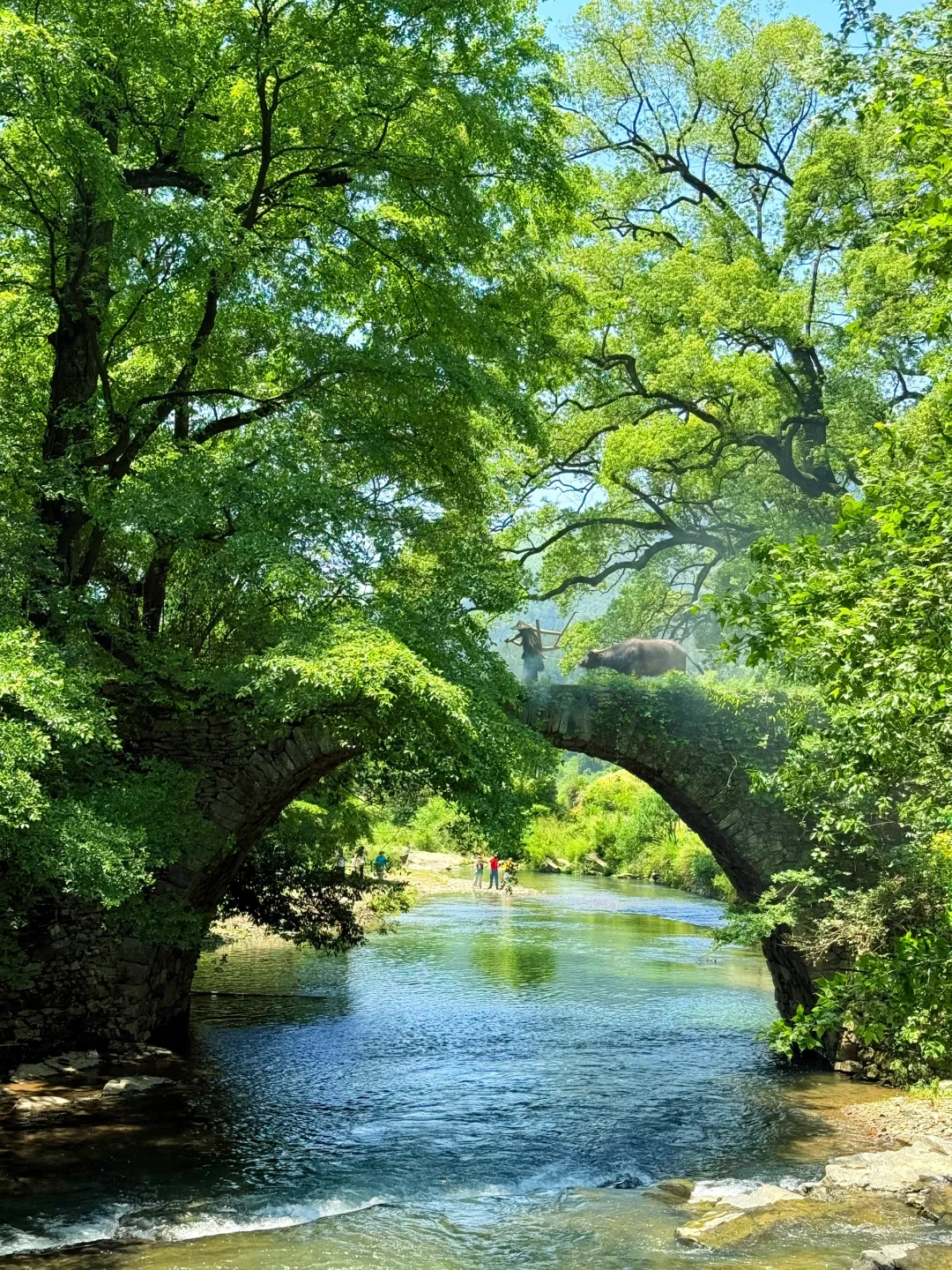 （免费）以为婺源已经够美了，直到我去了这里…