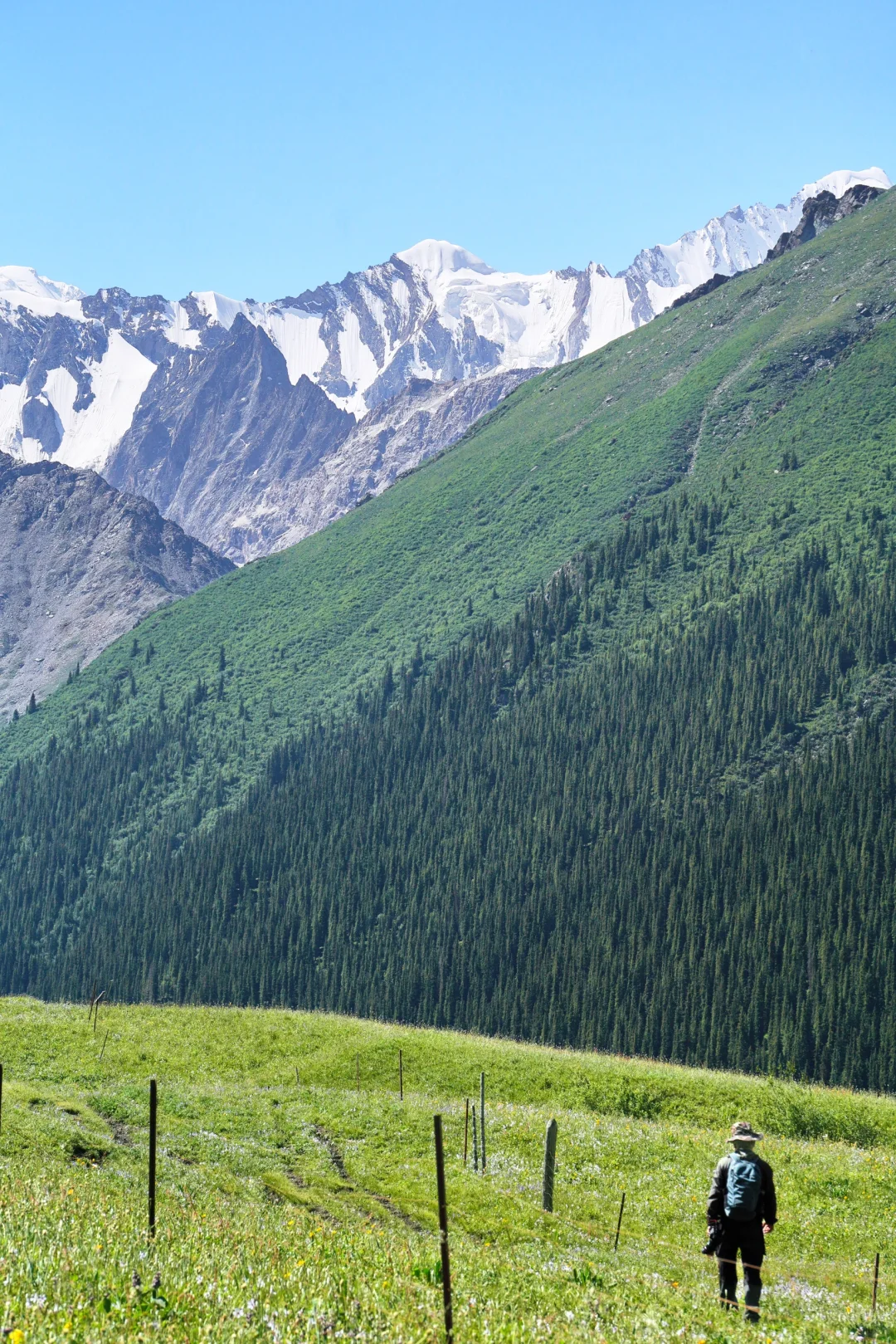 6月的夏塔是拍人生照片的最佳季节