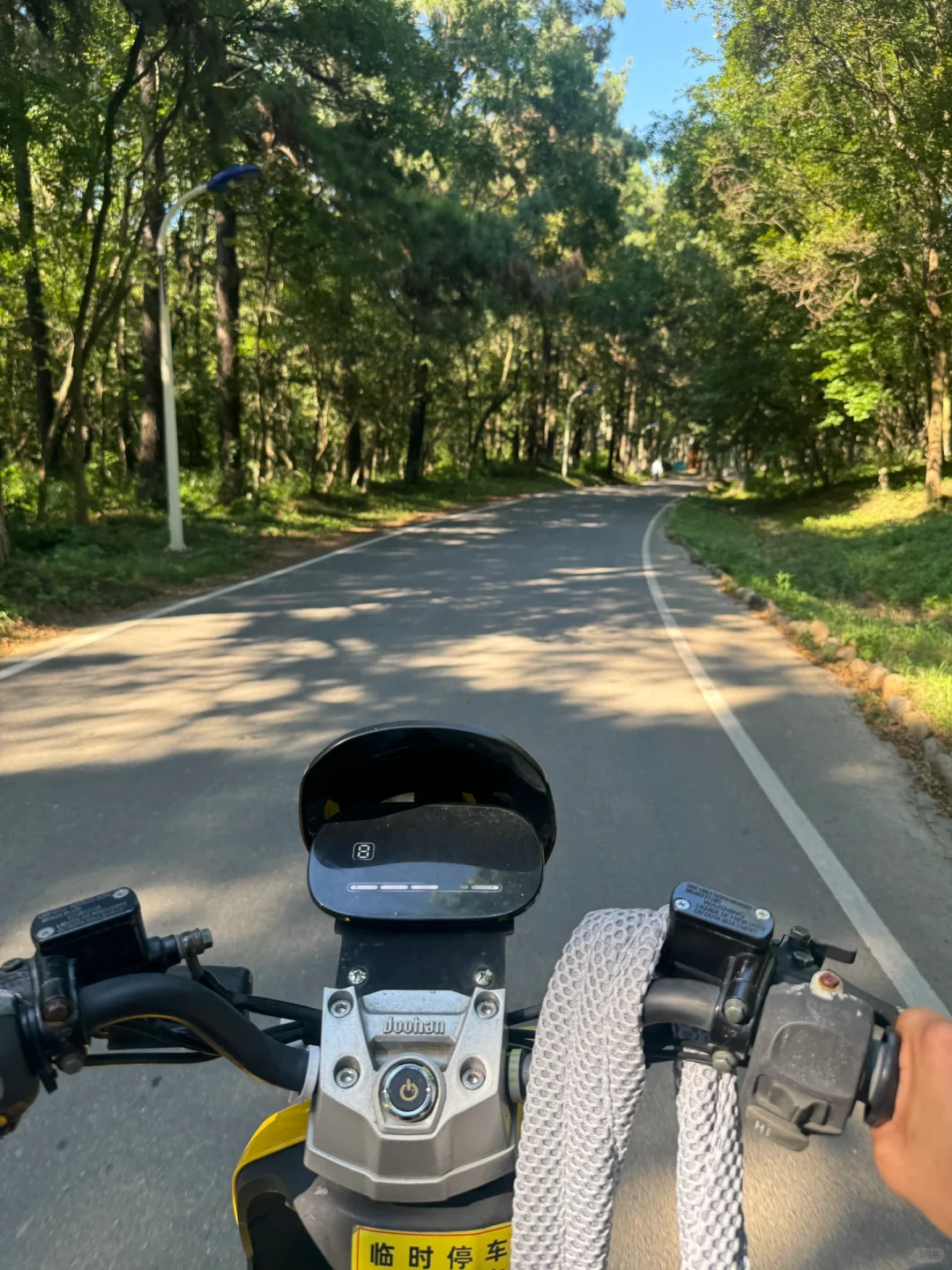 苏州开车2h,来到了魔法世界🦍🐳🦆🦌