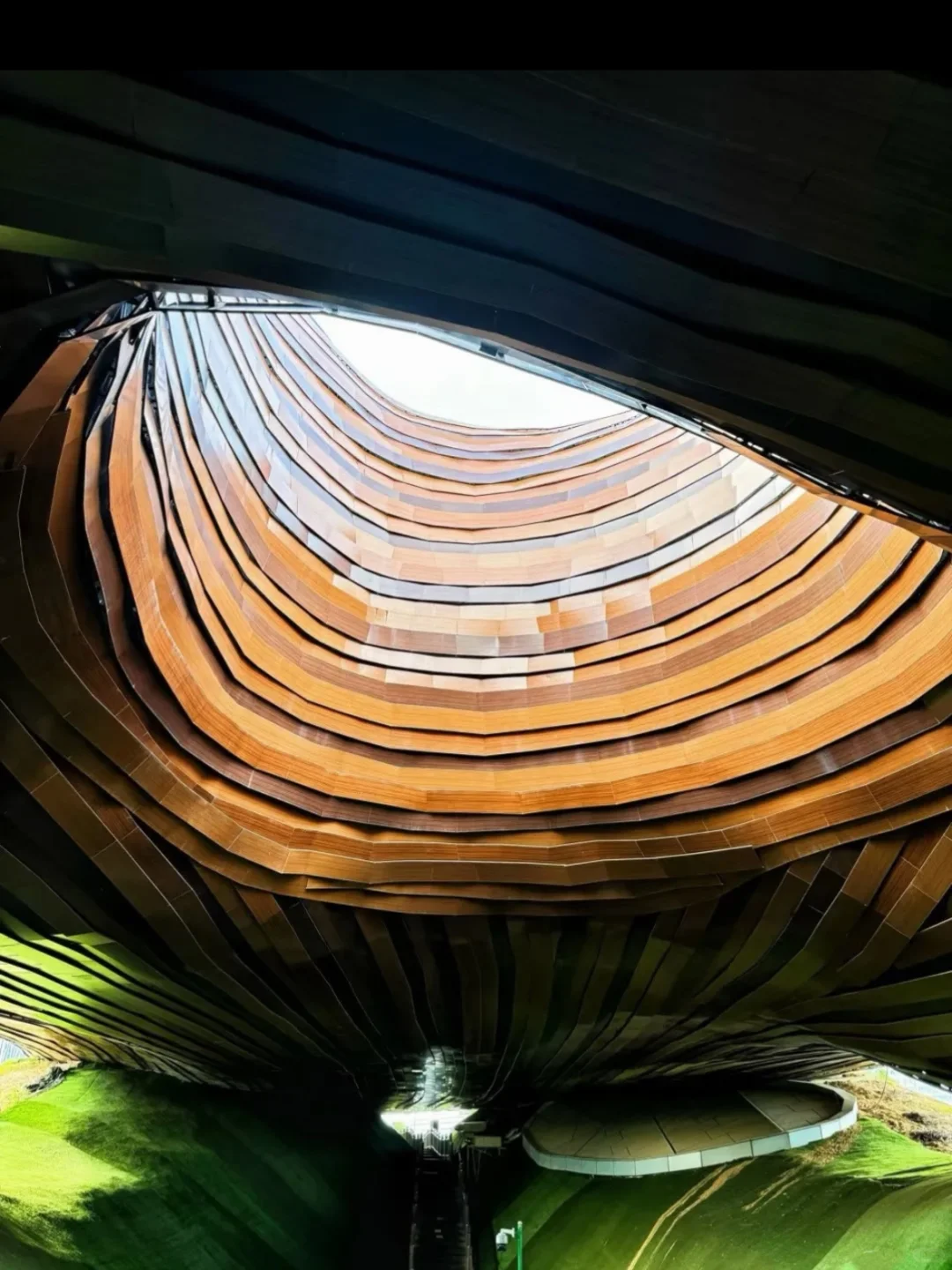 奔县第18站|森林小火车太出片了🚂