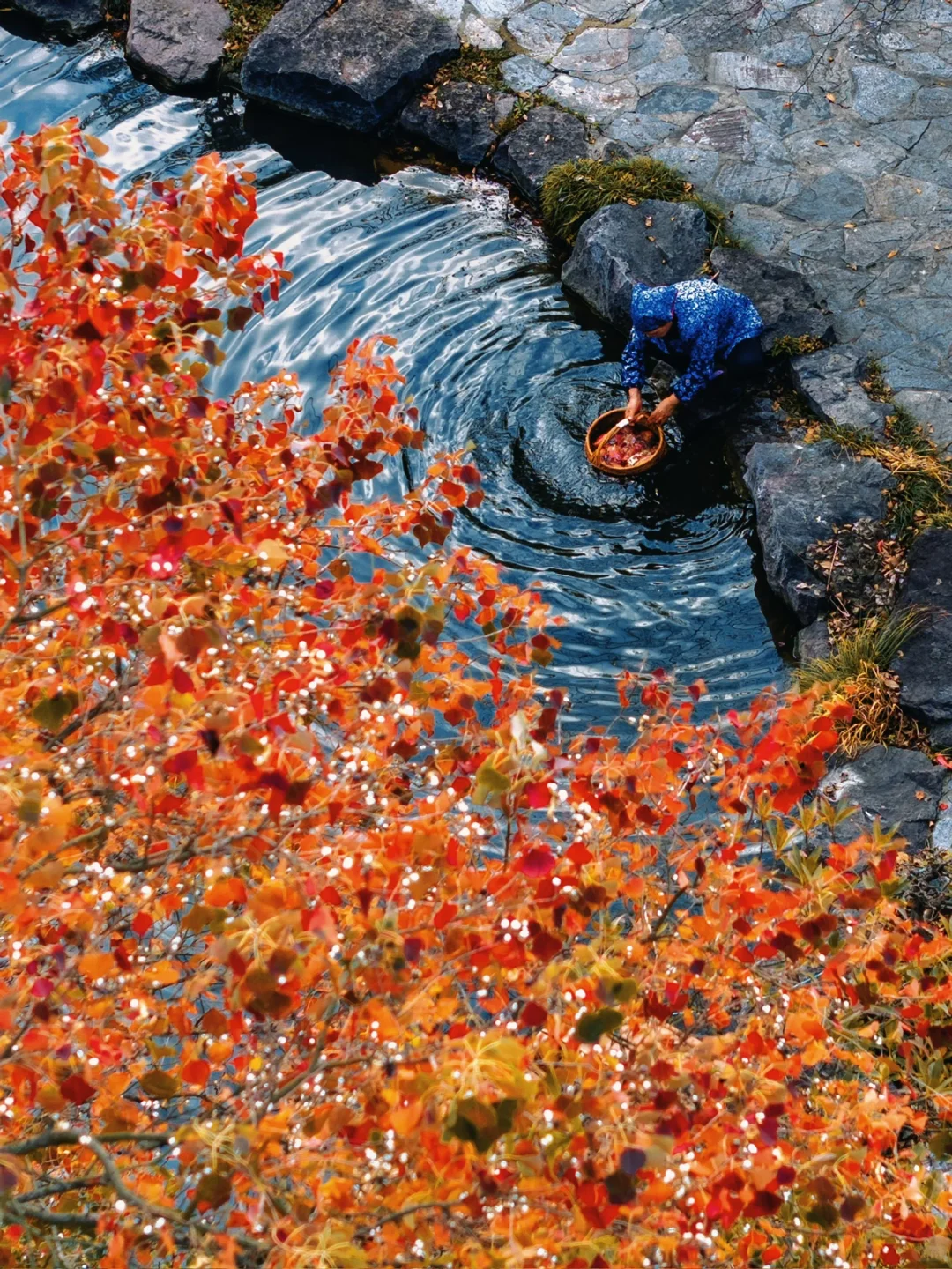 迄今为止，安徽我最喜欢的避世小镇出现了‼️