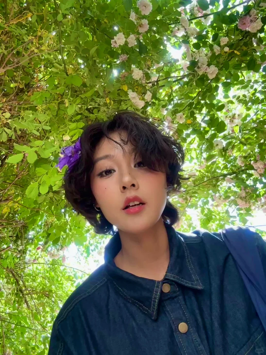 邯郸紫山公园里的蔷薇花墙～（附详细路线）