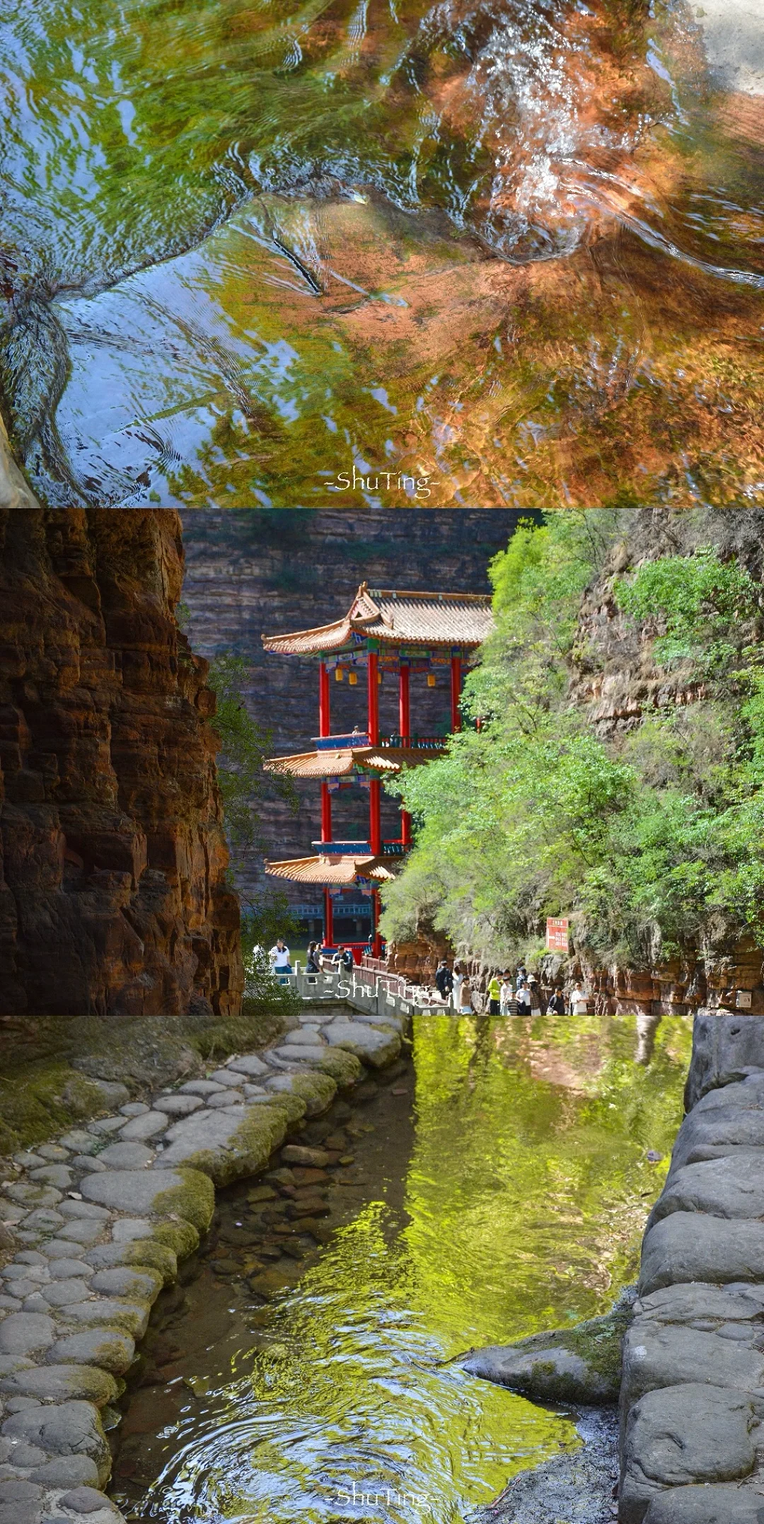 🟢喜欢那一抹流动的绿🍃邯郸七步沟美到失语