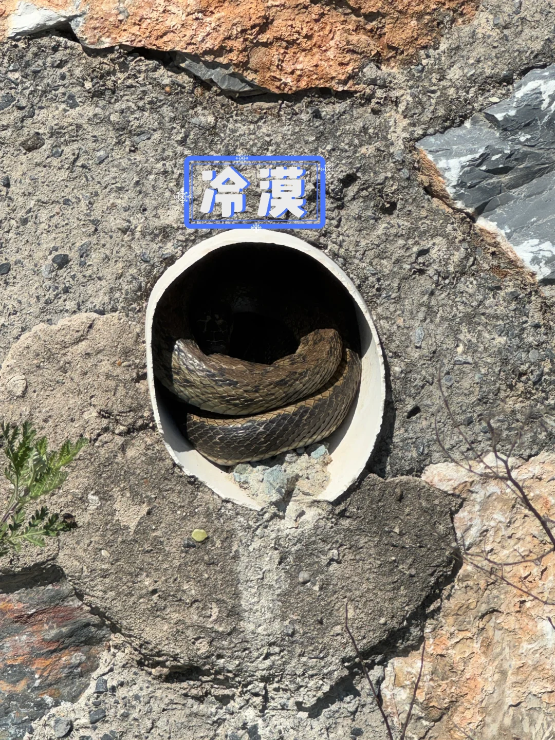 定都阁景区的确没开门