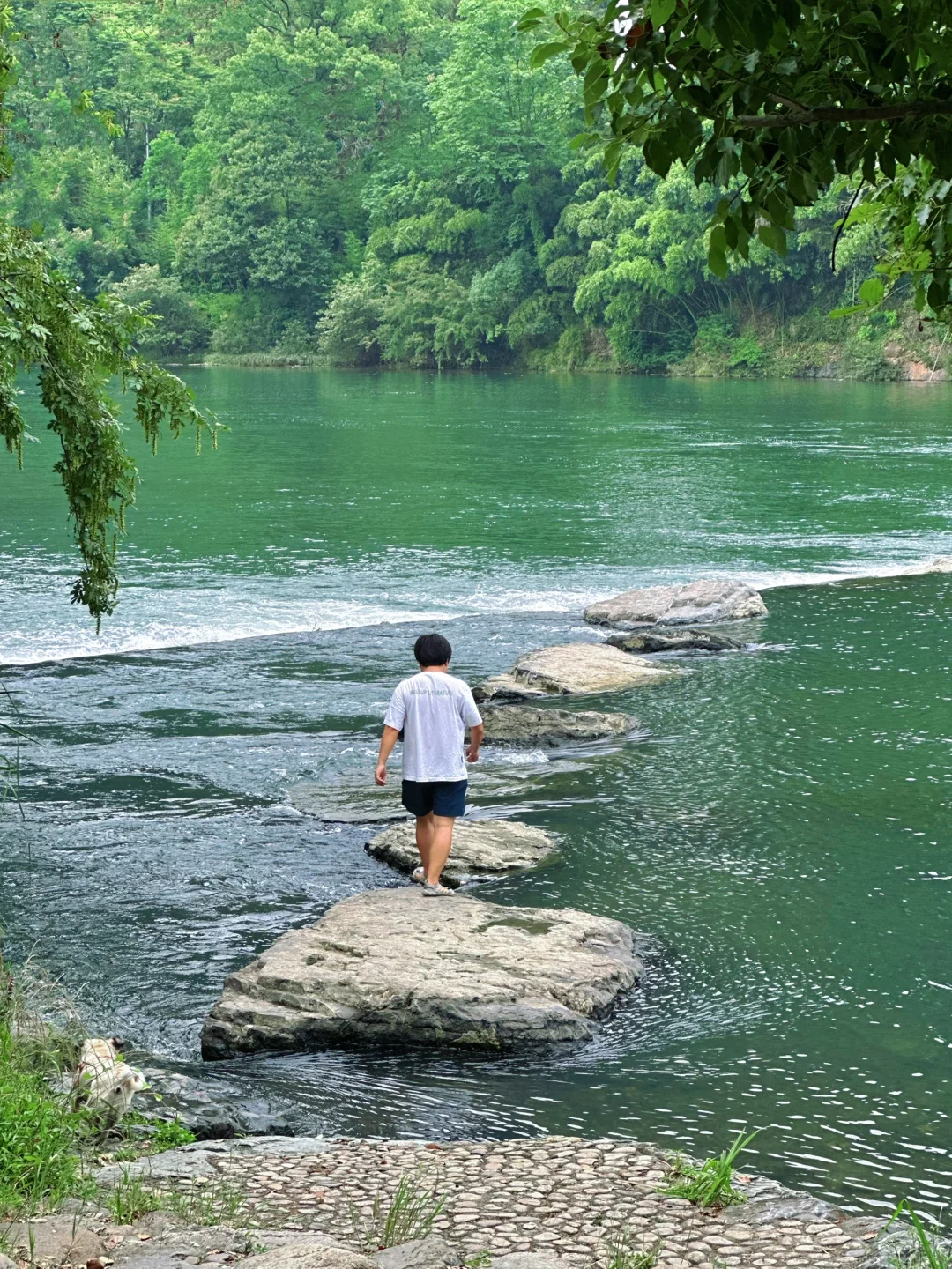 浙江最低调宝藏县城开化:3天2晚游玩攻略