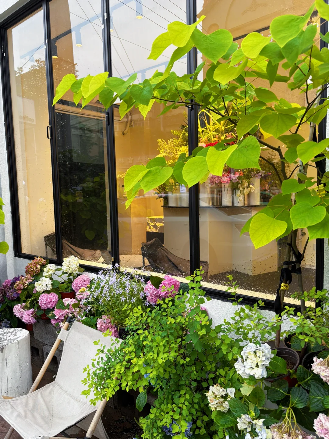 好爱这红墙青瓦 绿意深深 流水潺潺