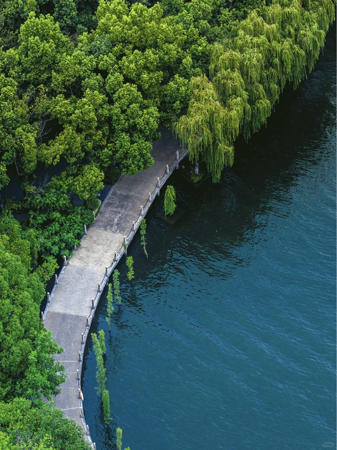 奔县第18站|森林小火车太出片了🚂