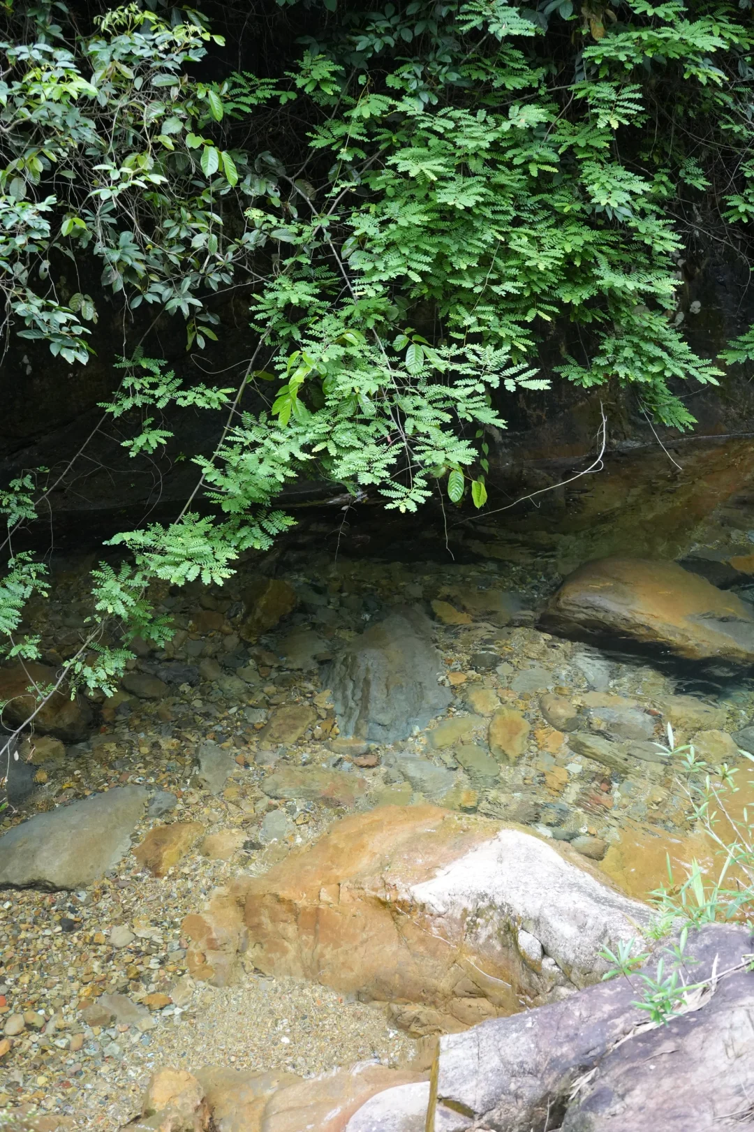 喜欢…爱上肇庆紫云谷