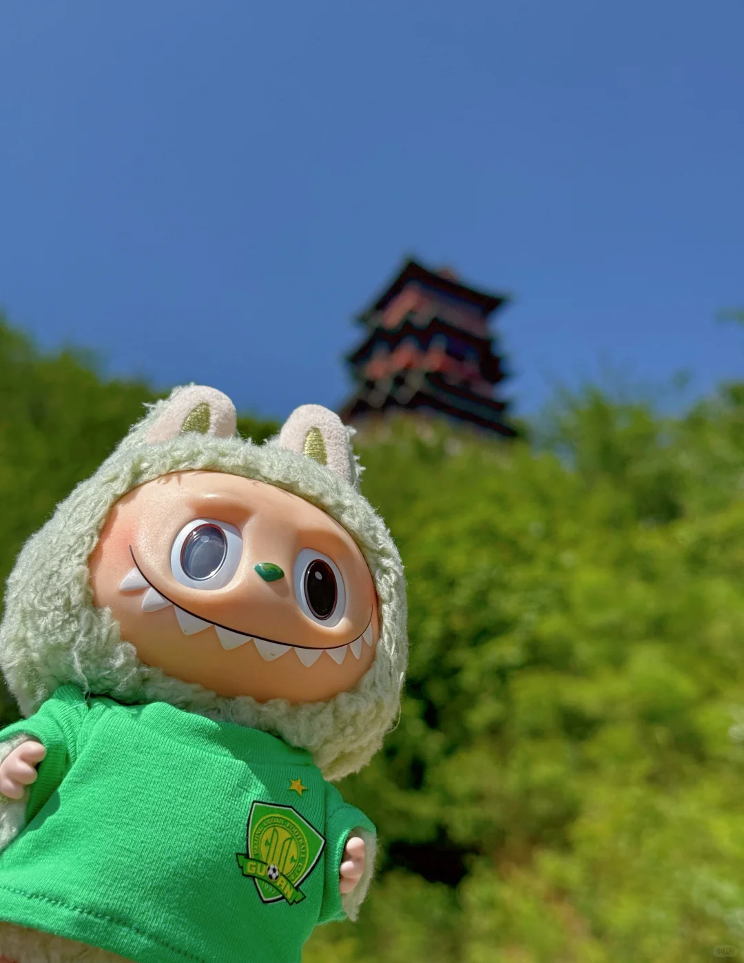 定都阁景区的确没开门