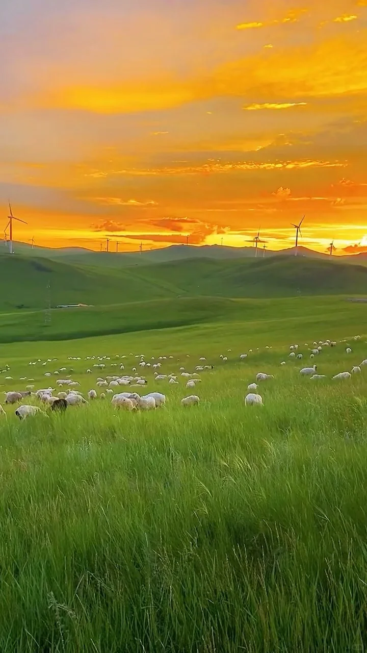 Live图的意义😭在这里体现的淋漓尽致……