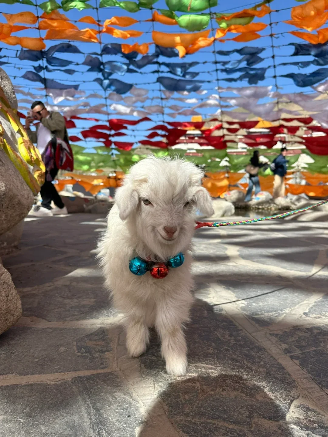 西北旅游攻略｜10年领队带你玩转大西北！