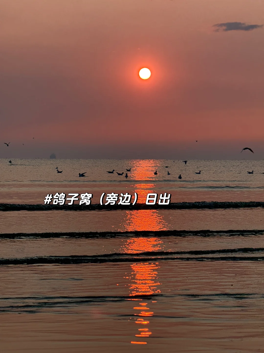 一篇说清楚天津-秦皇岛-阿那亚怎么玩儿📝