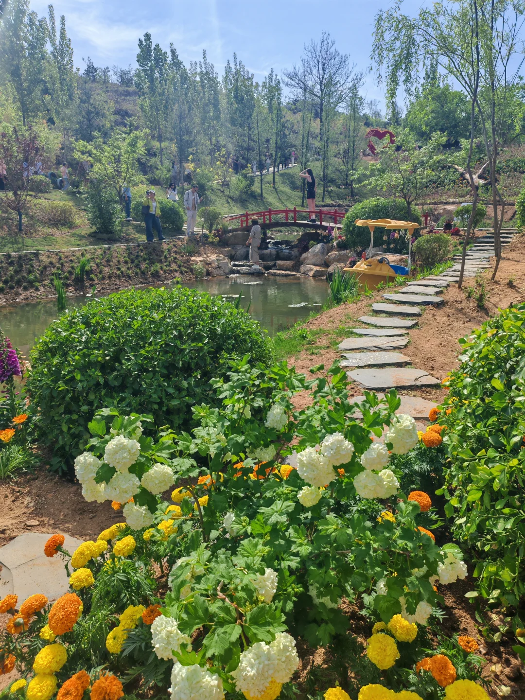 谁还不知道淄博有个三水源 真的亏大了