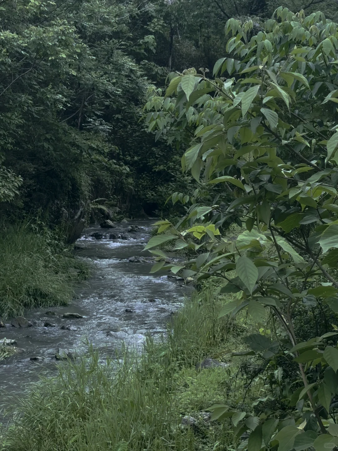 推荐一个99.9%的人都不知道的山野徒步秘境