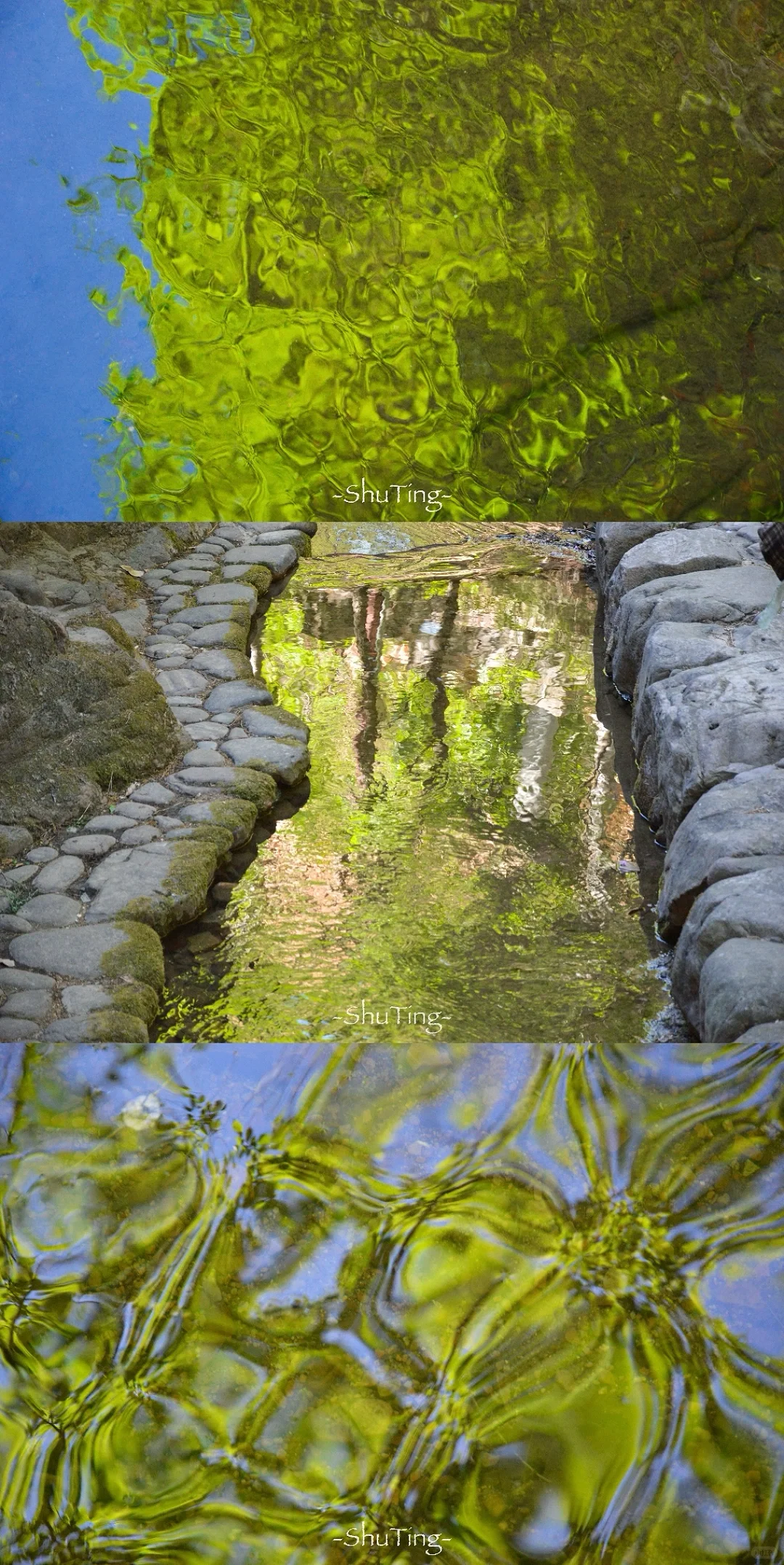 🟢喜欢那一抹流动的绿🍃邯郸七步沟美到失语