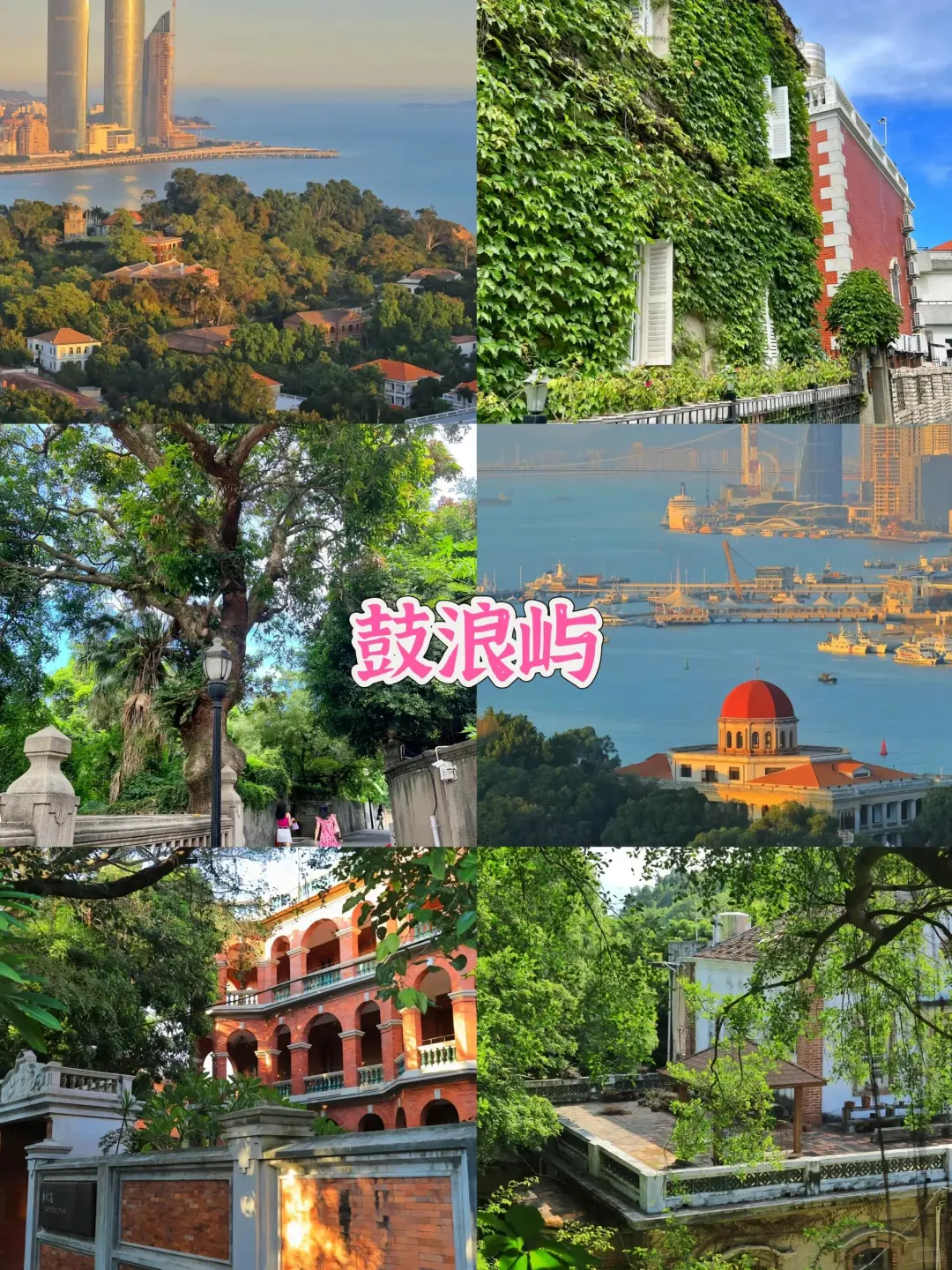 如何用800在厦门玩4天✨本地土著的游玩攻略