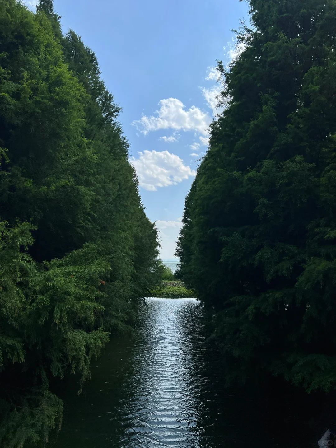 昆明一日游|详细攻略只看这篇!(附爆款机位)