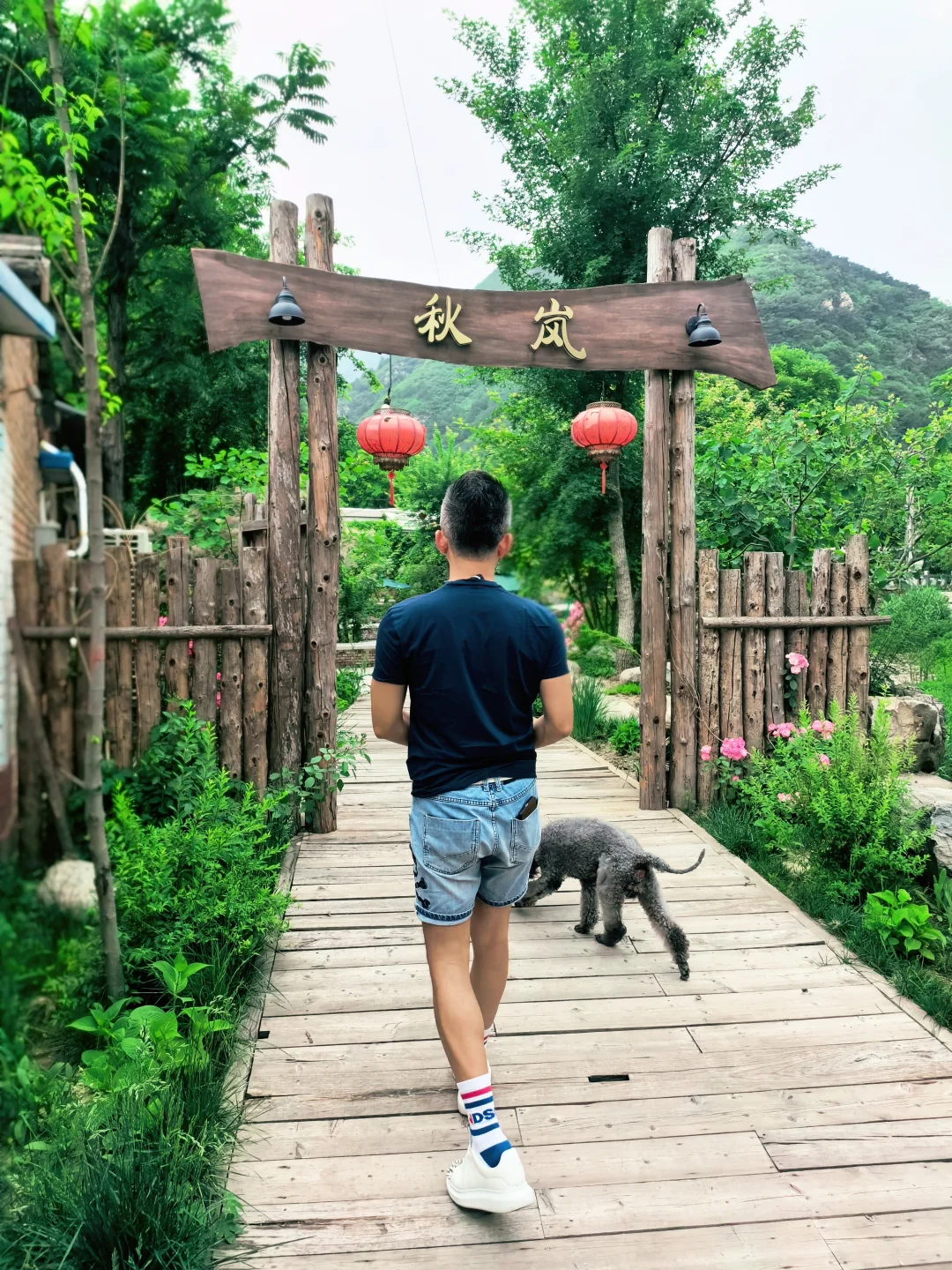 房山惊现猫狗双全的治愈咖啡屋🐈🐩速冲