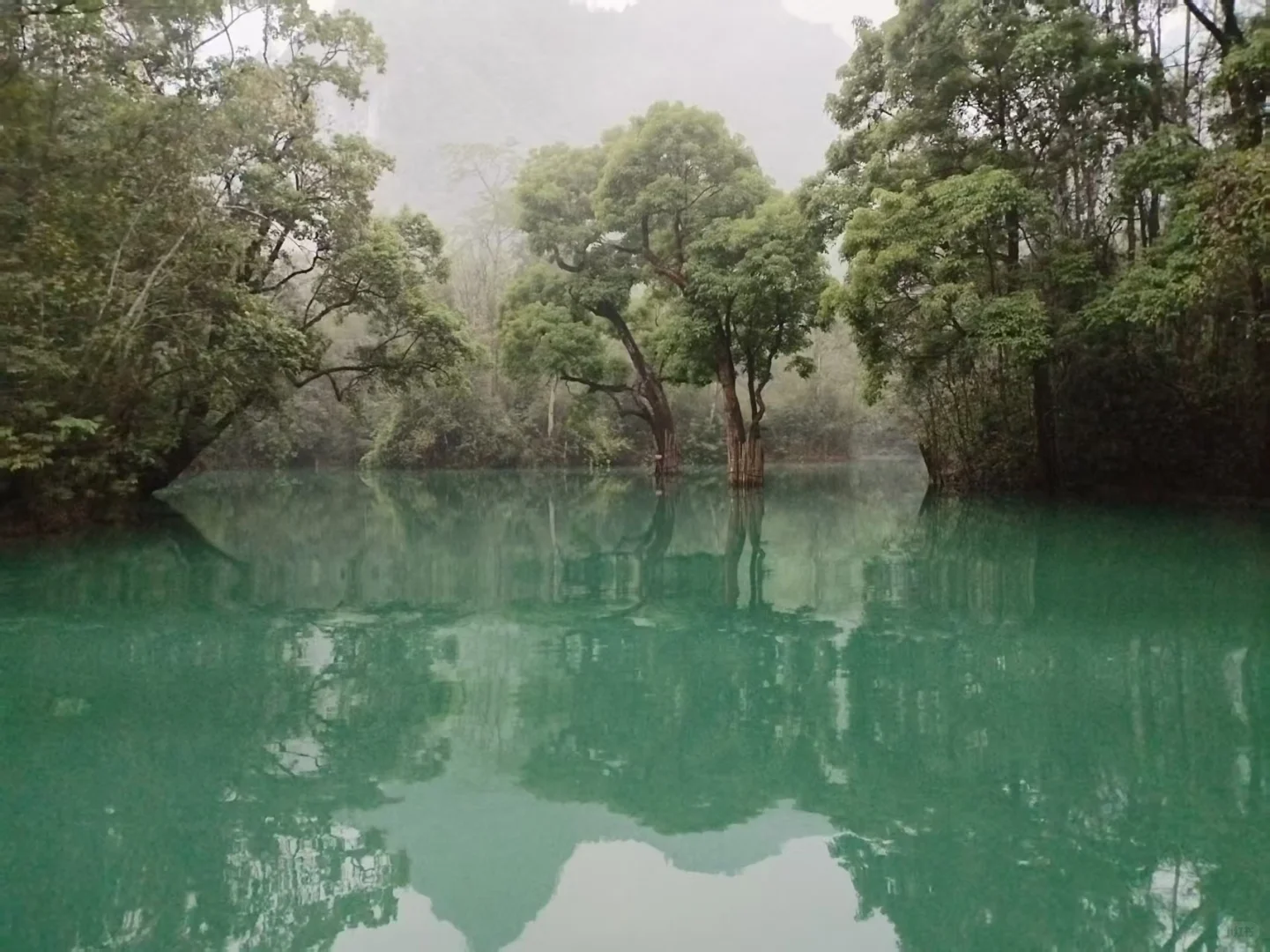 5月16日小七孔景区实况