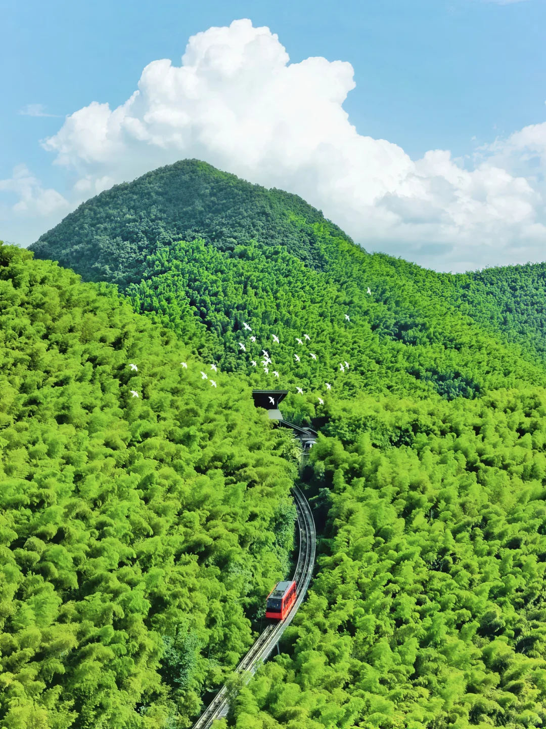 奔县第18站|森林小火车太出片了🚂