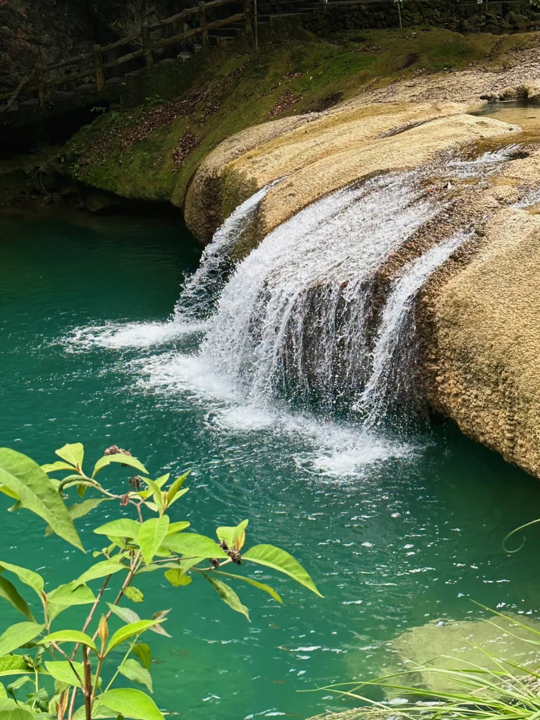 贵州旅游｜荔波小七孔 地球腰带上的绿宝石