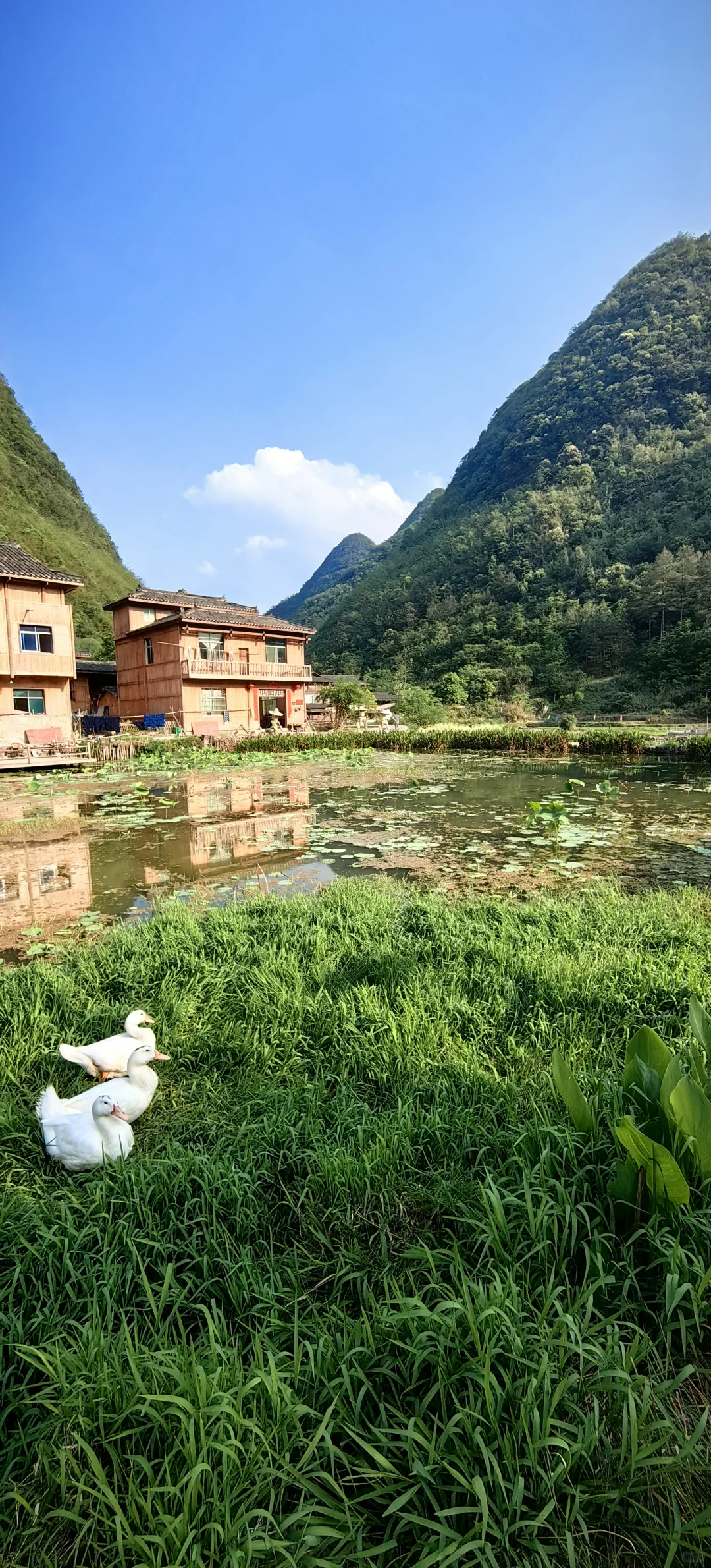 贵州六日游旅行攻略