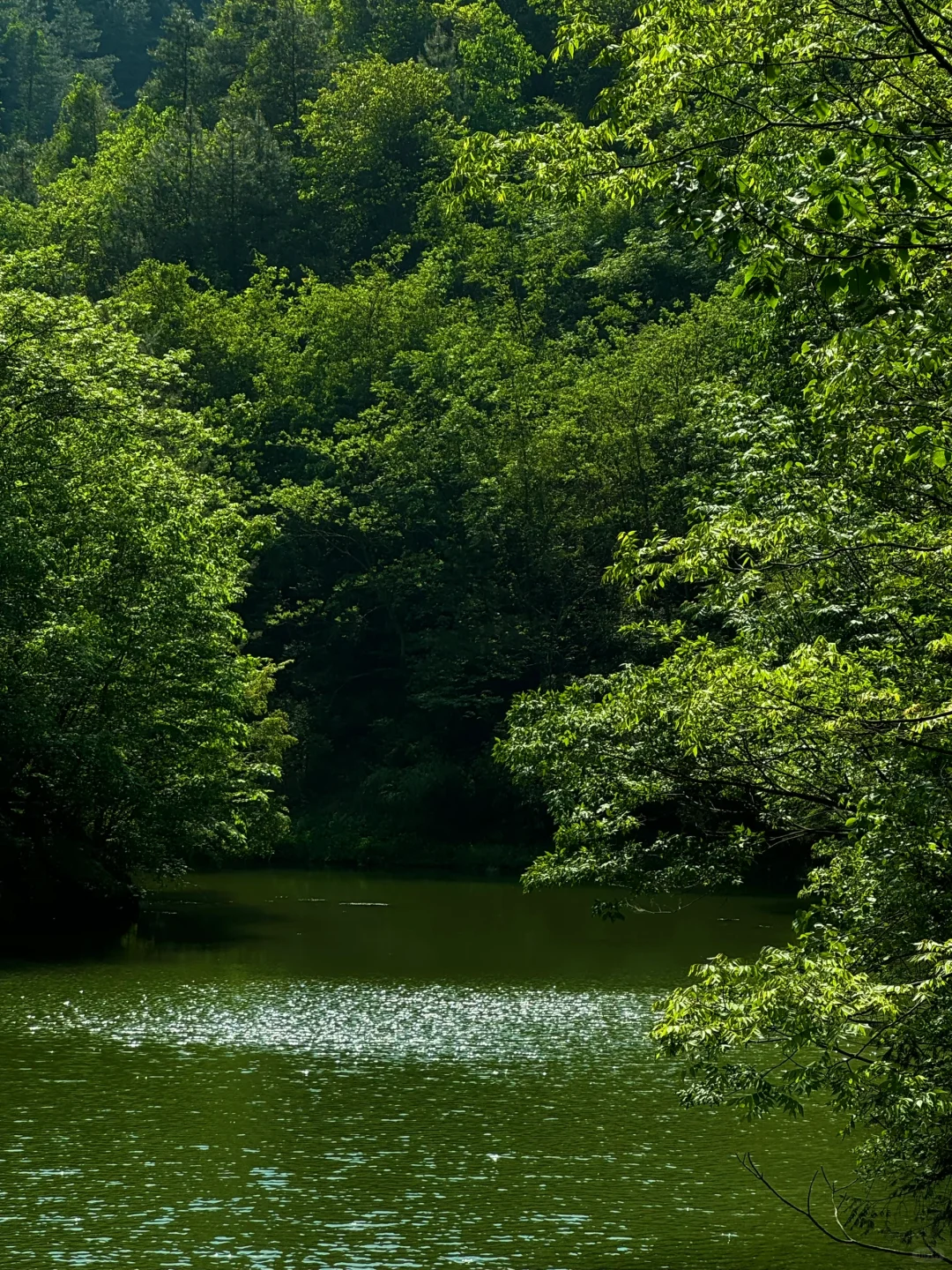 陕西的仙境：金丝峡