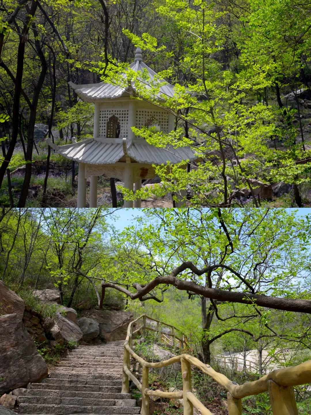 这么近那么美,五一也得来河北!