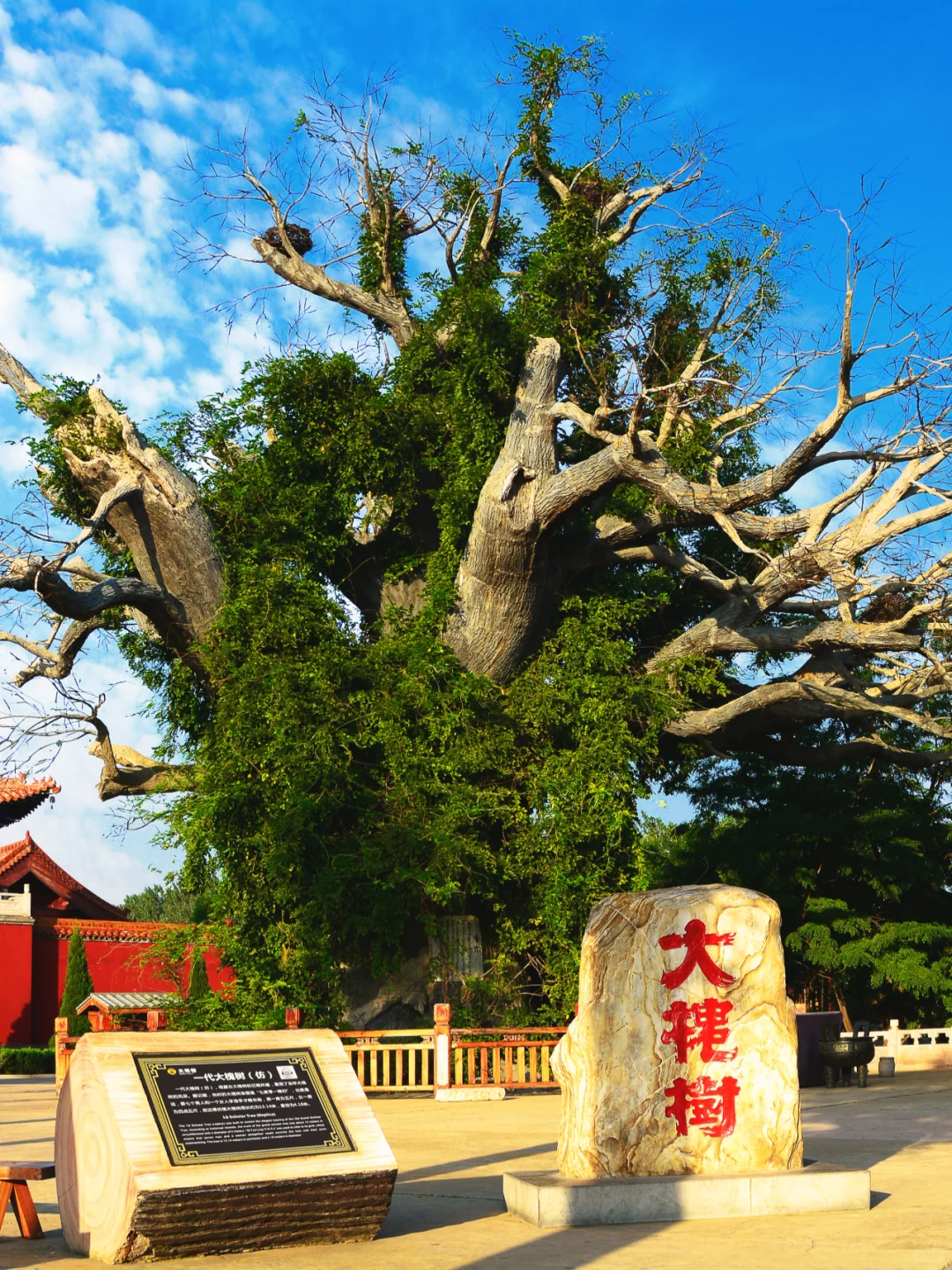 还是低估了山西，这样的风景都藏哪儿了