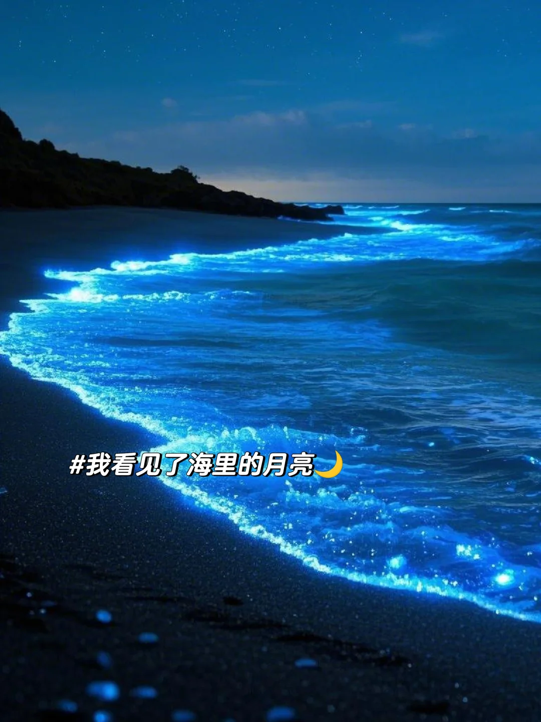 2025年蓝眼泪最全攻略：追寻“海上极光”