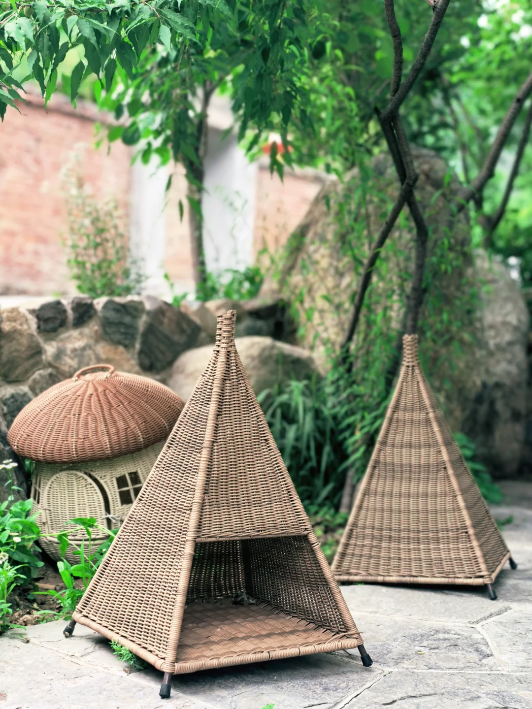 房山惊现猫狗双全的治愈咖啡屋🐈🐩速冲