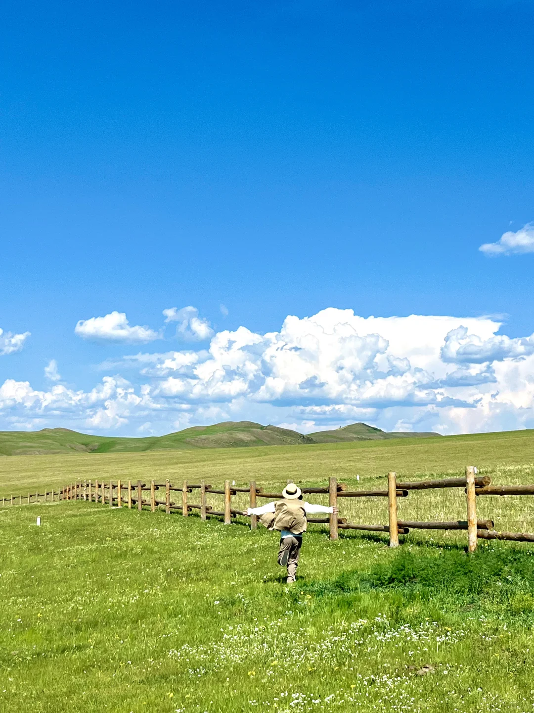 去了呼伦湖，你就知道大草原的含金量了！