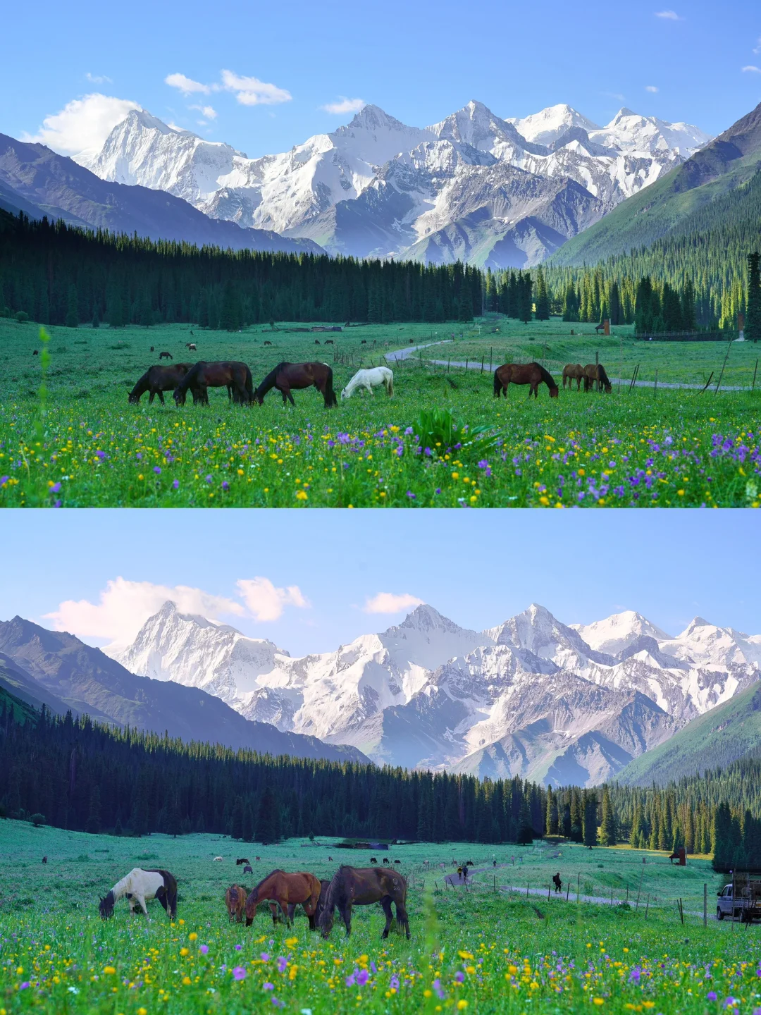 6月的夏塔是拍人生照片的最佳季节
