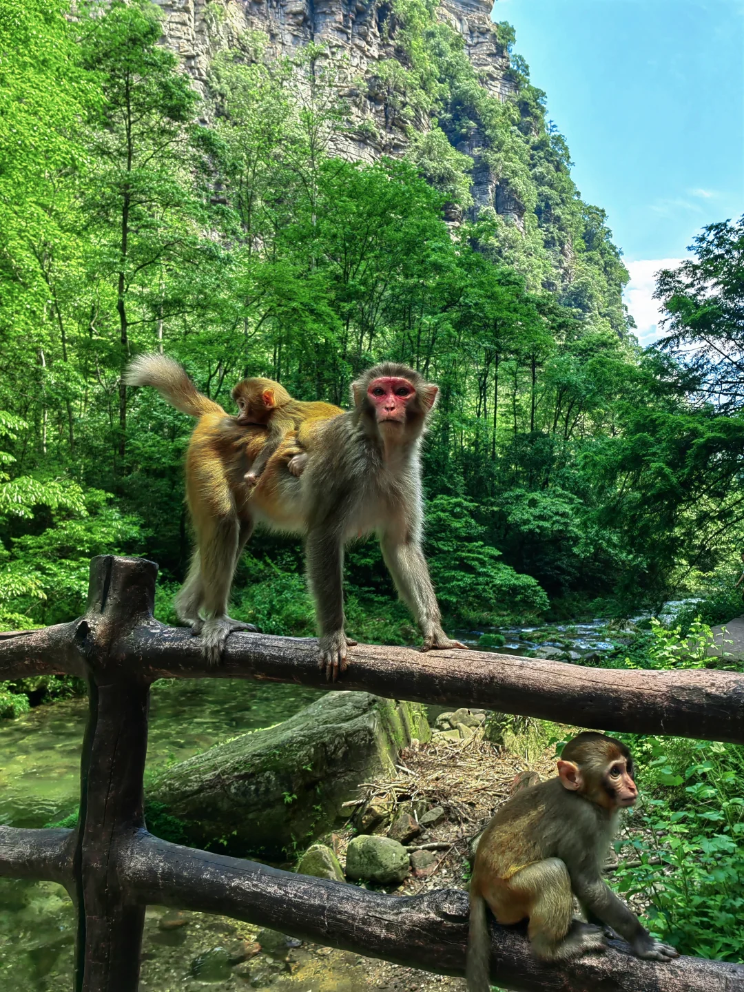 【Day6】湖南•张家界