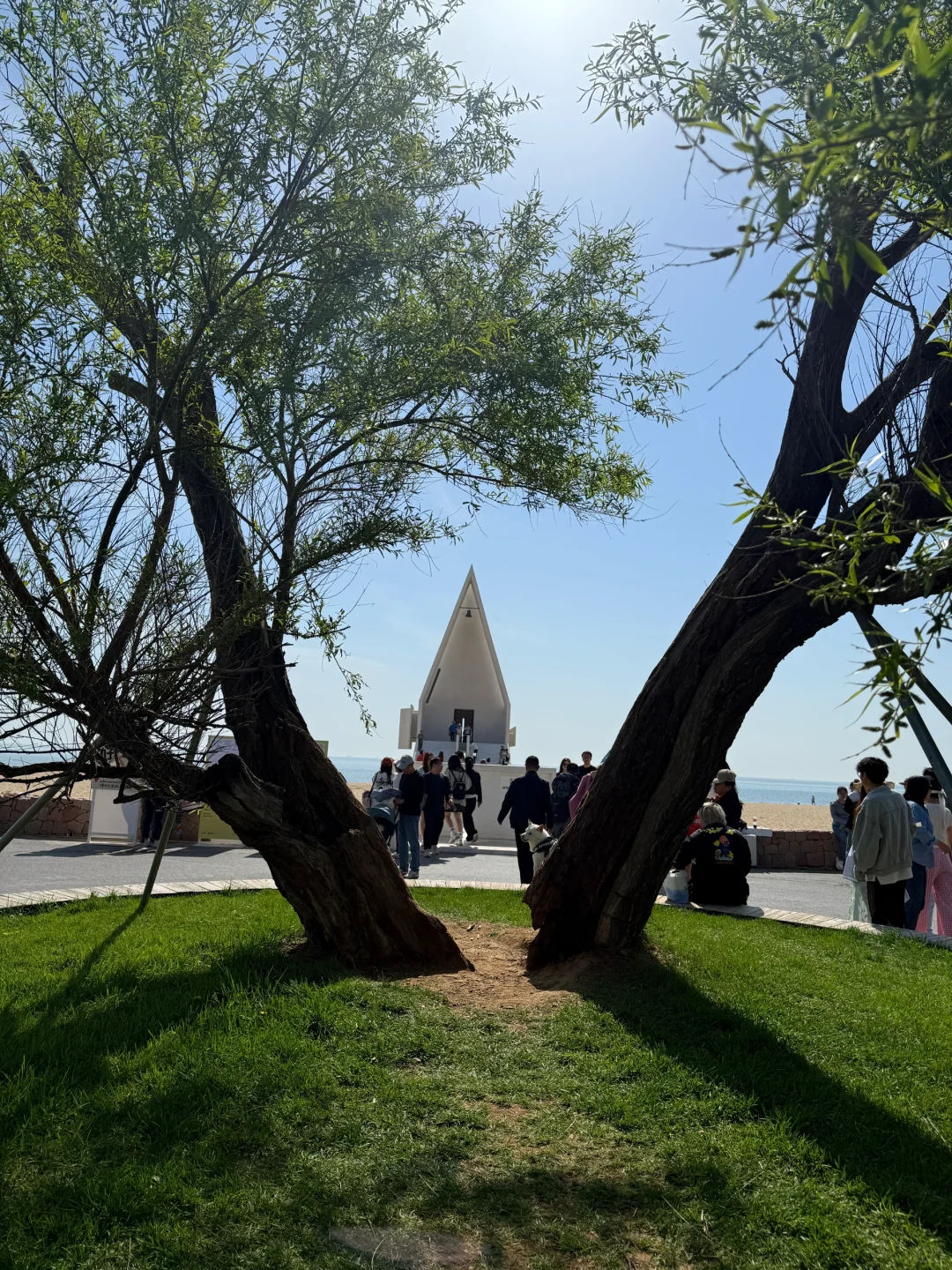 一篇说清楚天津-秦皇岛-阿那亚怎么玩儿📝